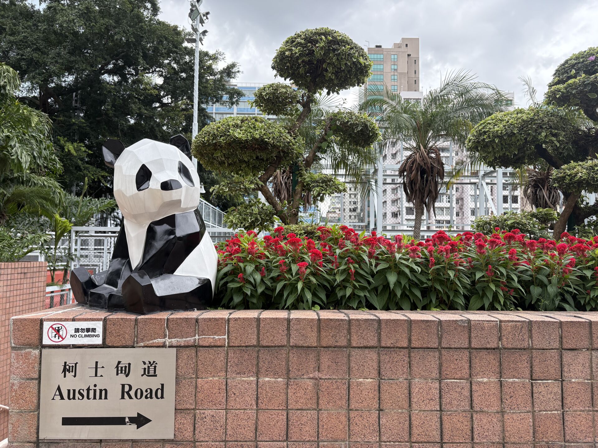 https://www.fa.gov.hk/雞冠花