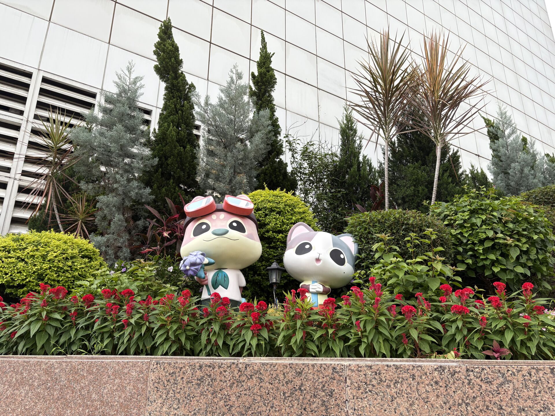 https://www.fa.gov.hk/雞冠花