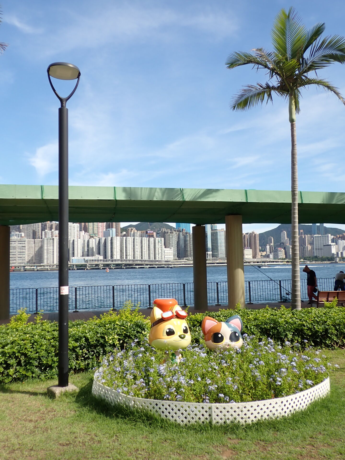 https://www.fa.gov.hk/藍雪花