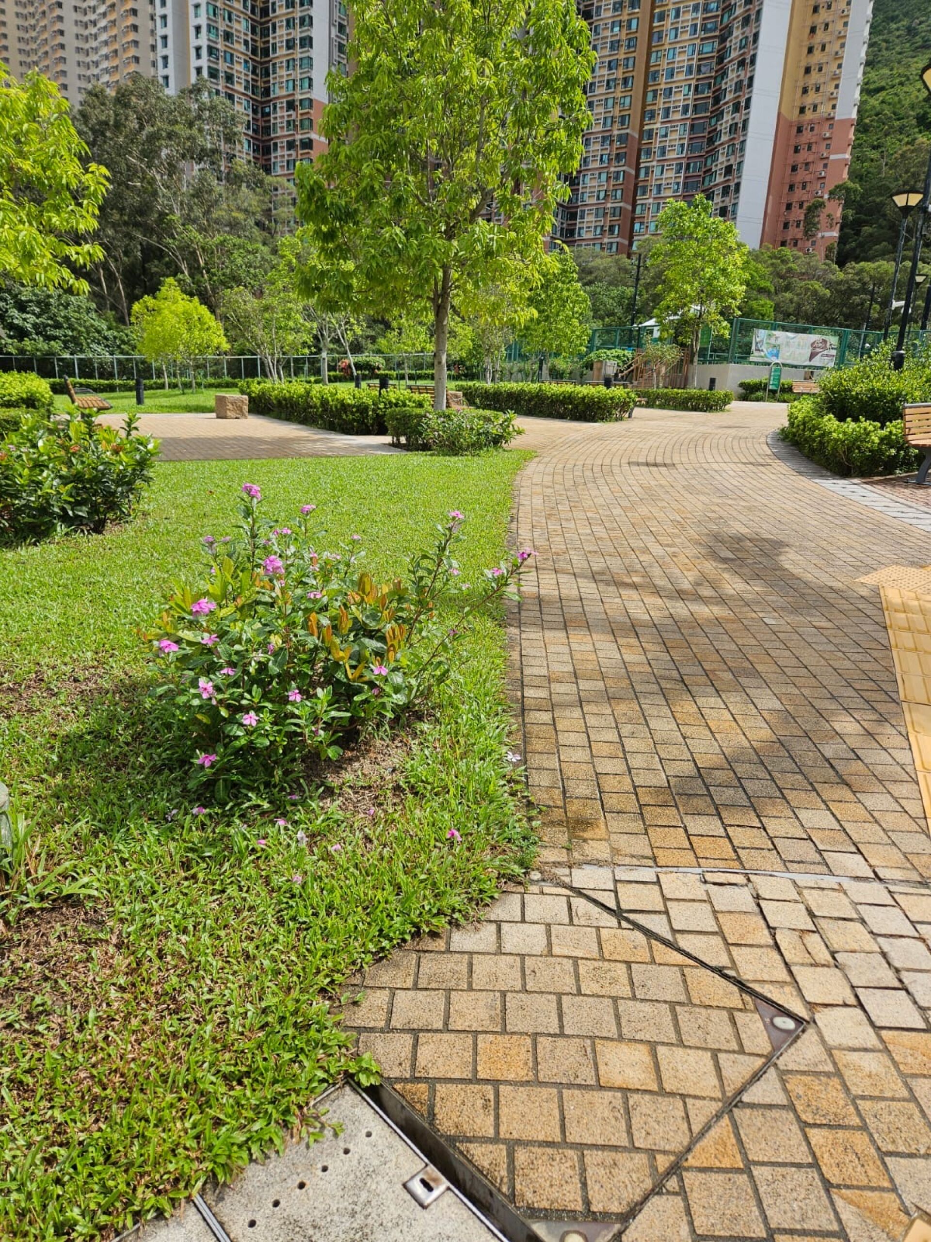 https://www.fa.gov.hk/長春花