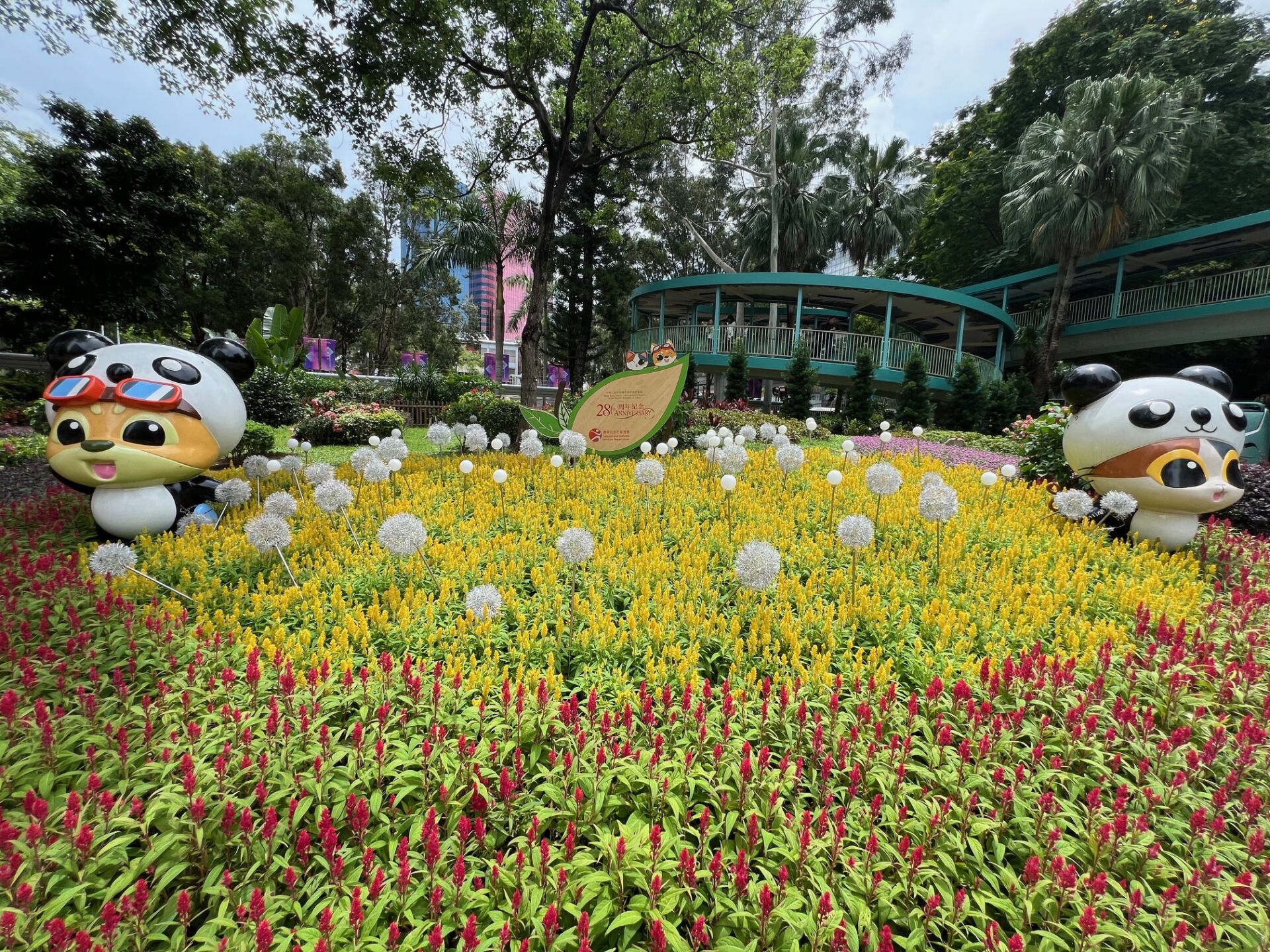 https://www.fa.gov.hk/鳳尾球