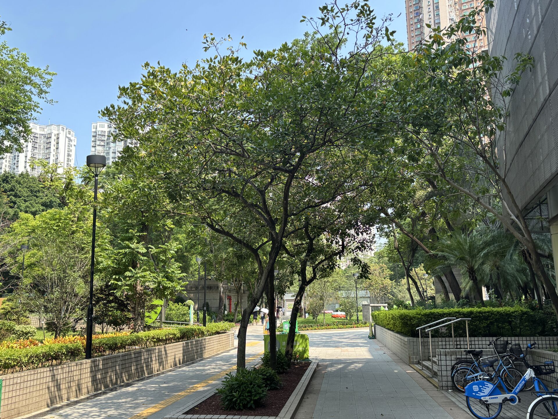 https://www.fa.gov.hk/水黃皮