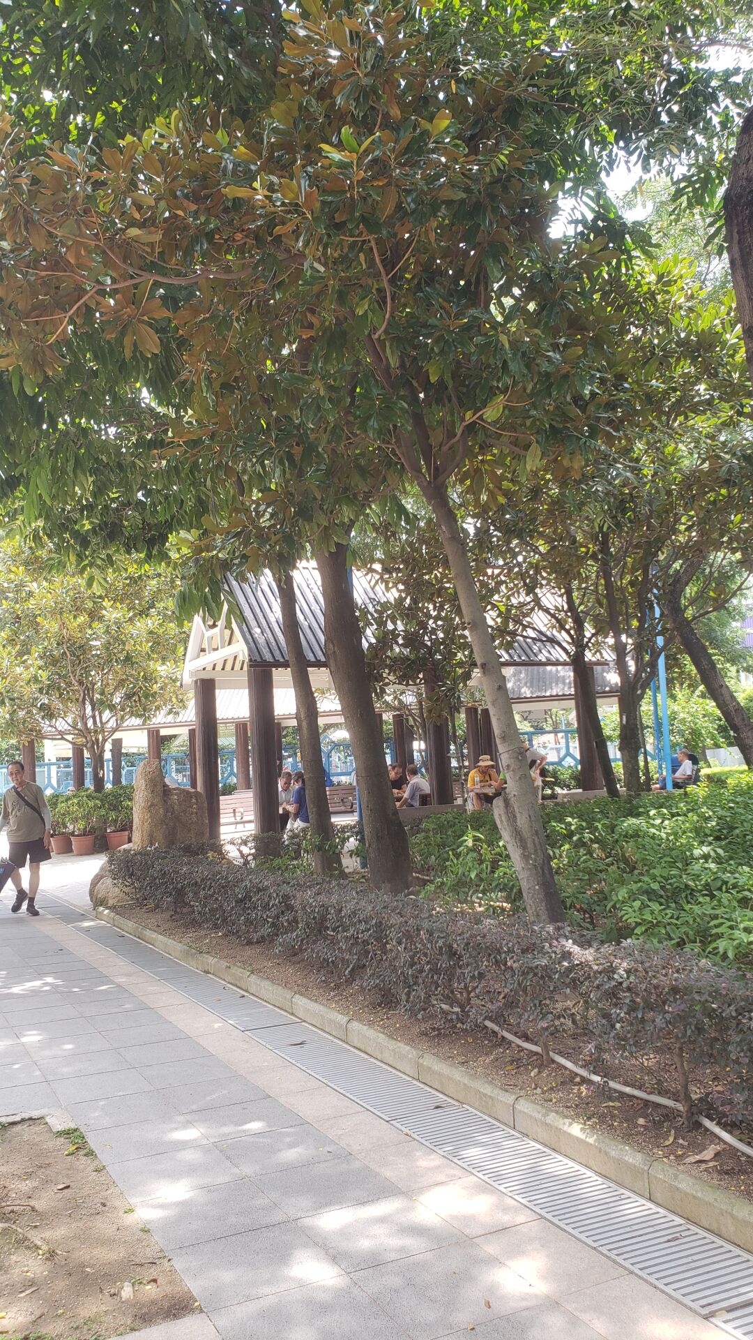 https://www.fa.gov.hk/荷花玉蘭