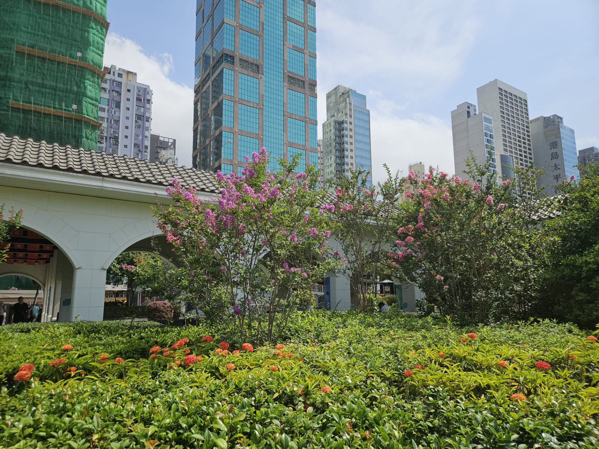 https://www.fa.gov.hk/紫薇