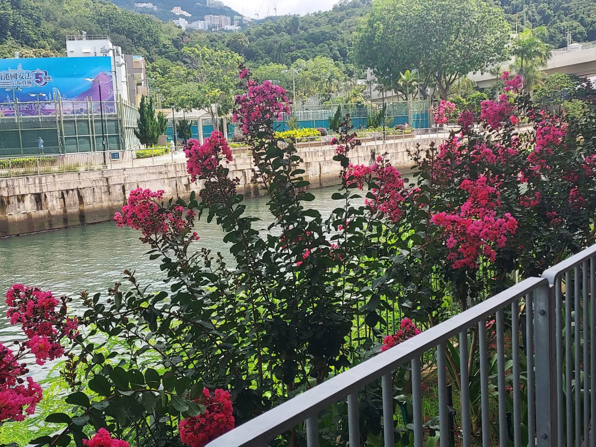 https://www.fa.gov.hk/紫薇