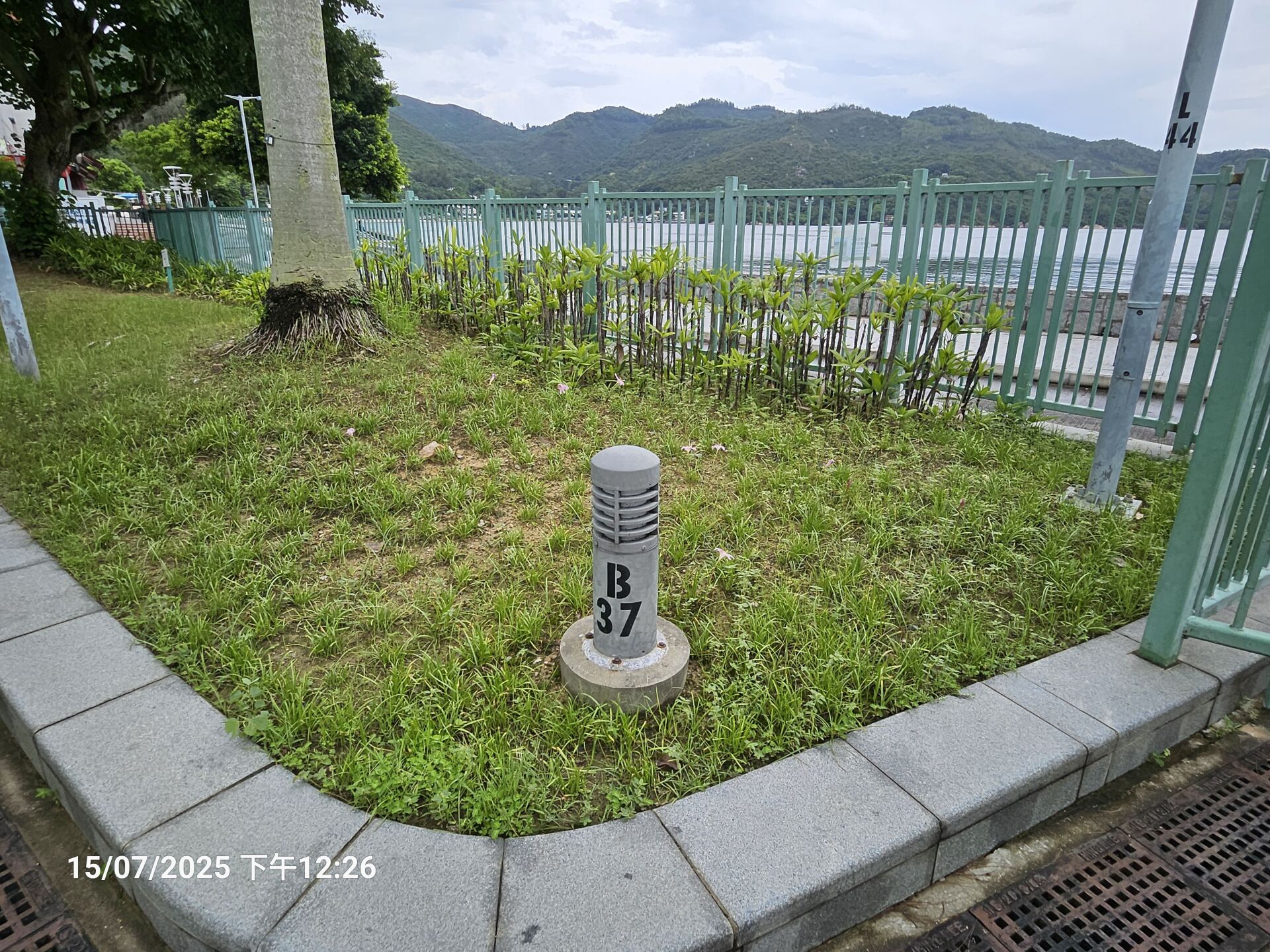https://www.fa.gov.hk/風雨蘭