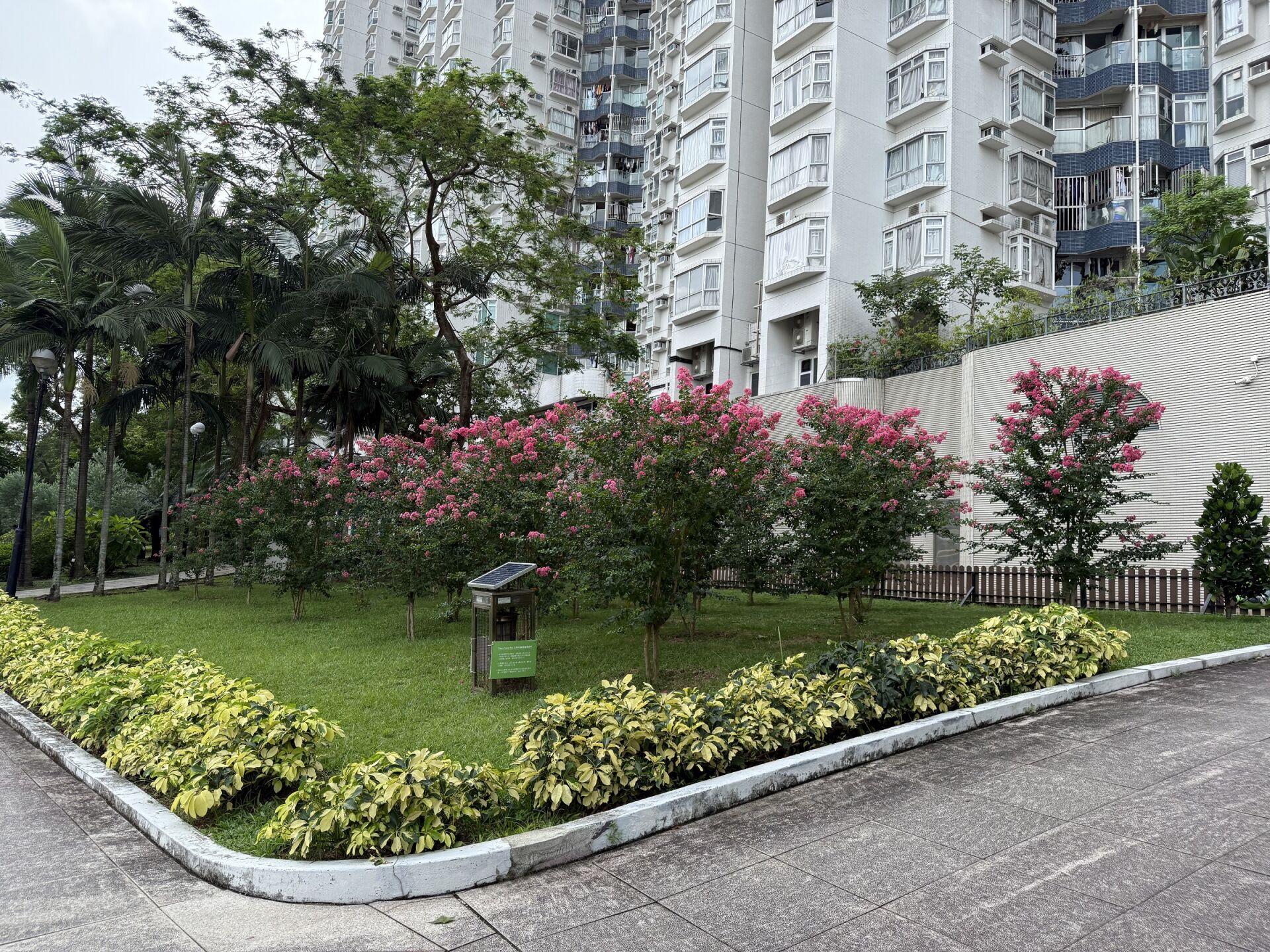 https://www.fa.gov.hk/紫薇