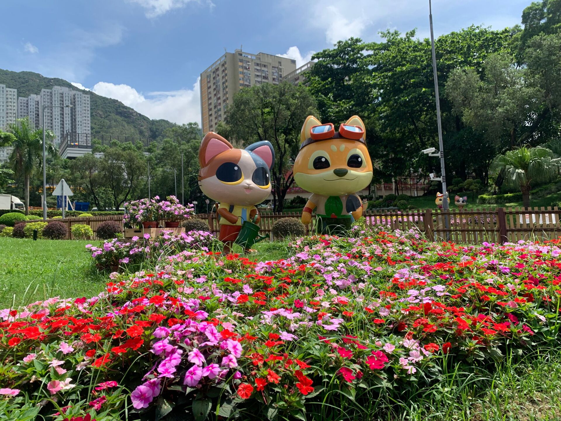 https://www.fa.gov.hk/鳳仙花