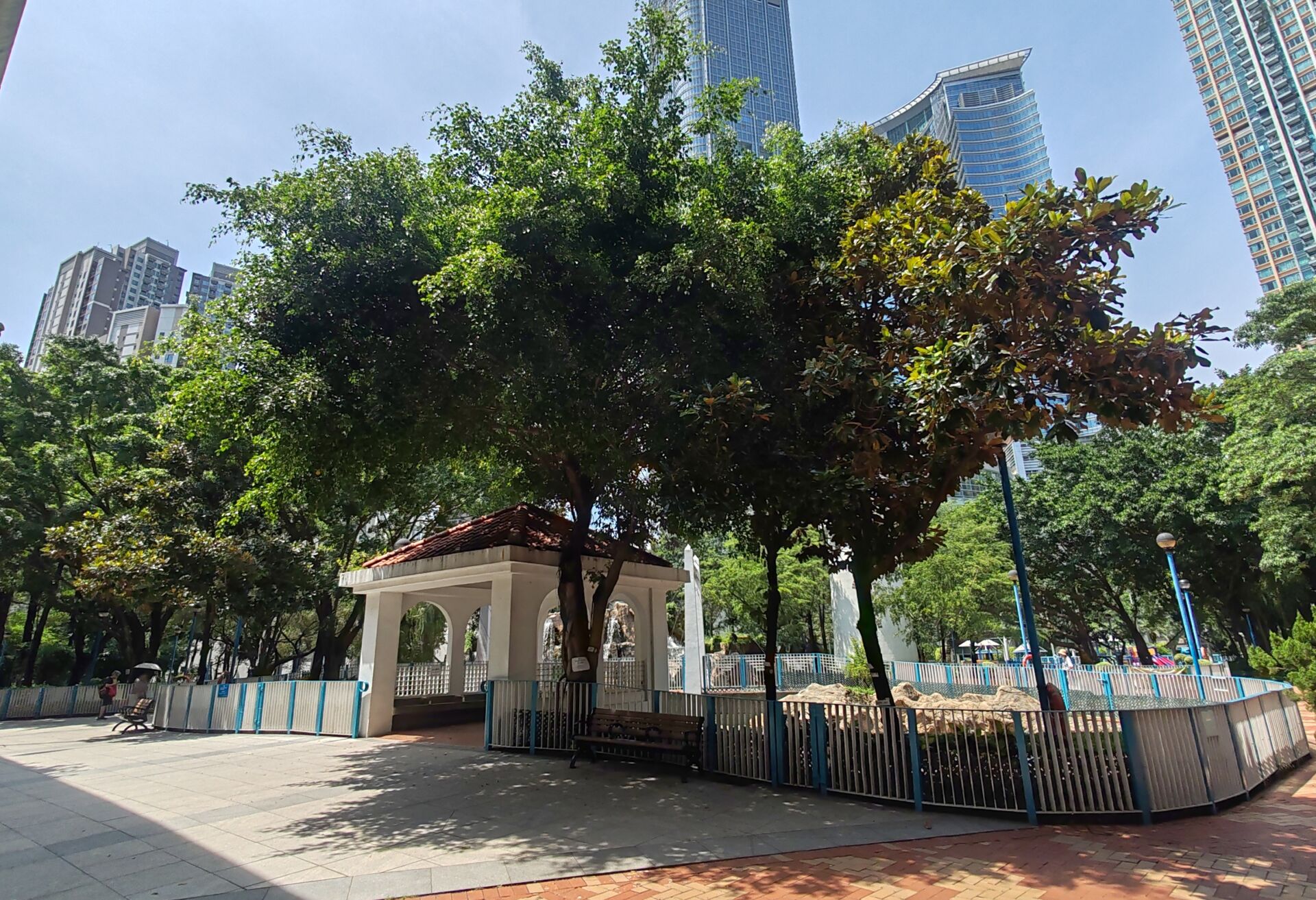 https://www.fa.gov.hk/荷花玉蘭(洋玉蘭)