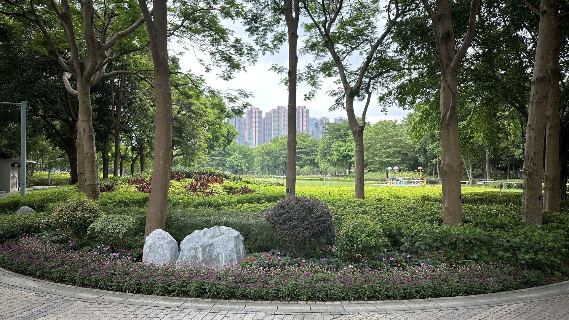 https://www.fa.gov.hk/千日紅