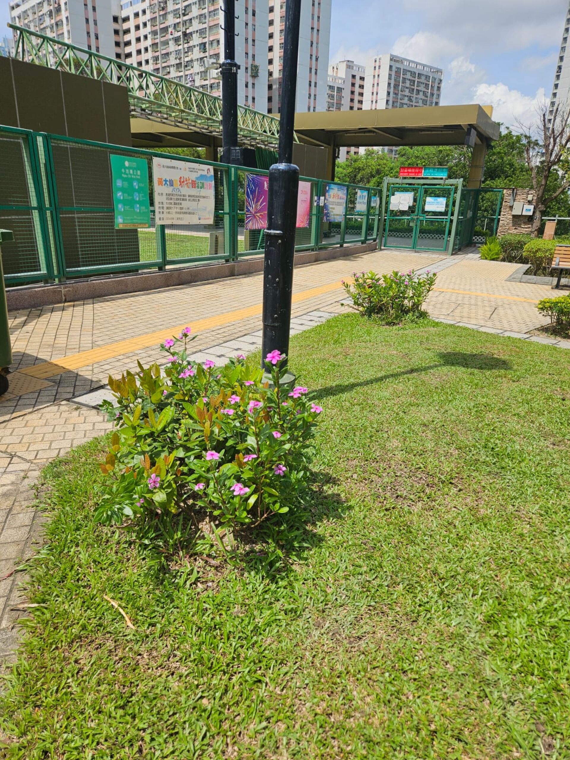 https://www.fa.gov.hk/長春花