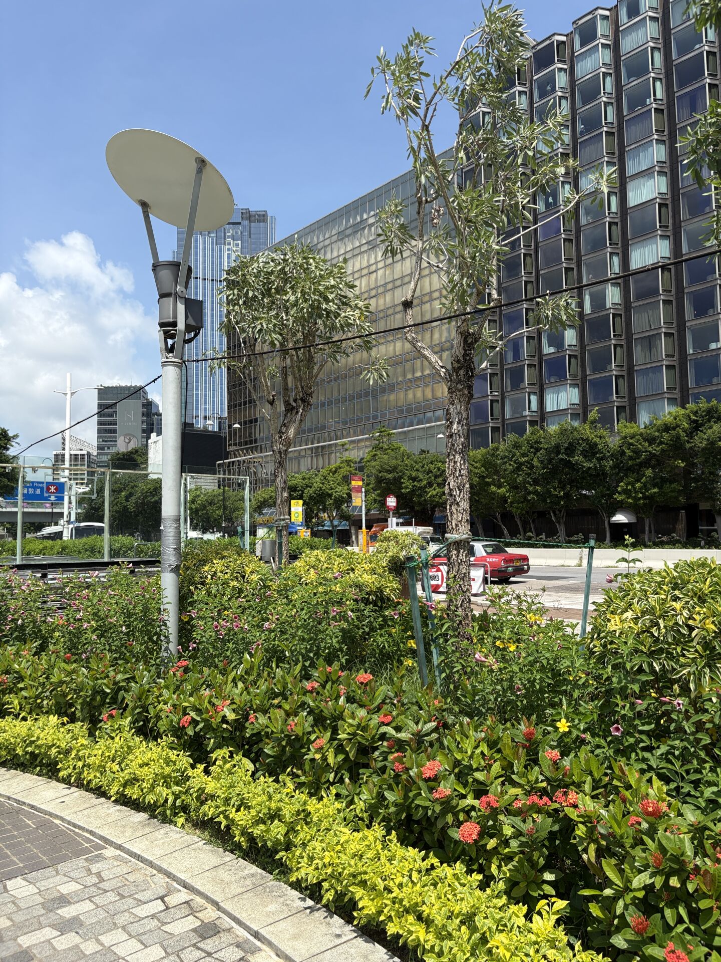 https://www.fa.gov.hk/龍船花
