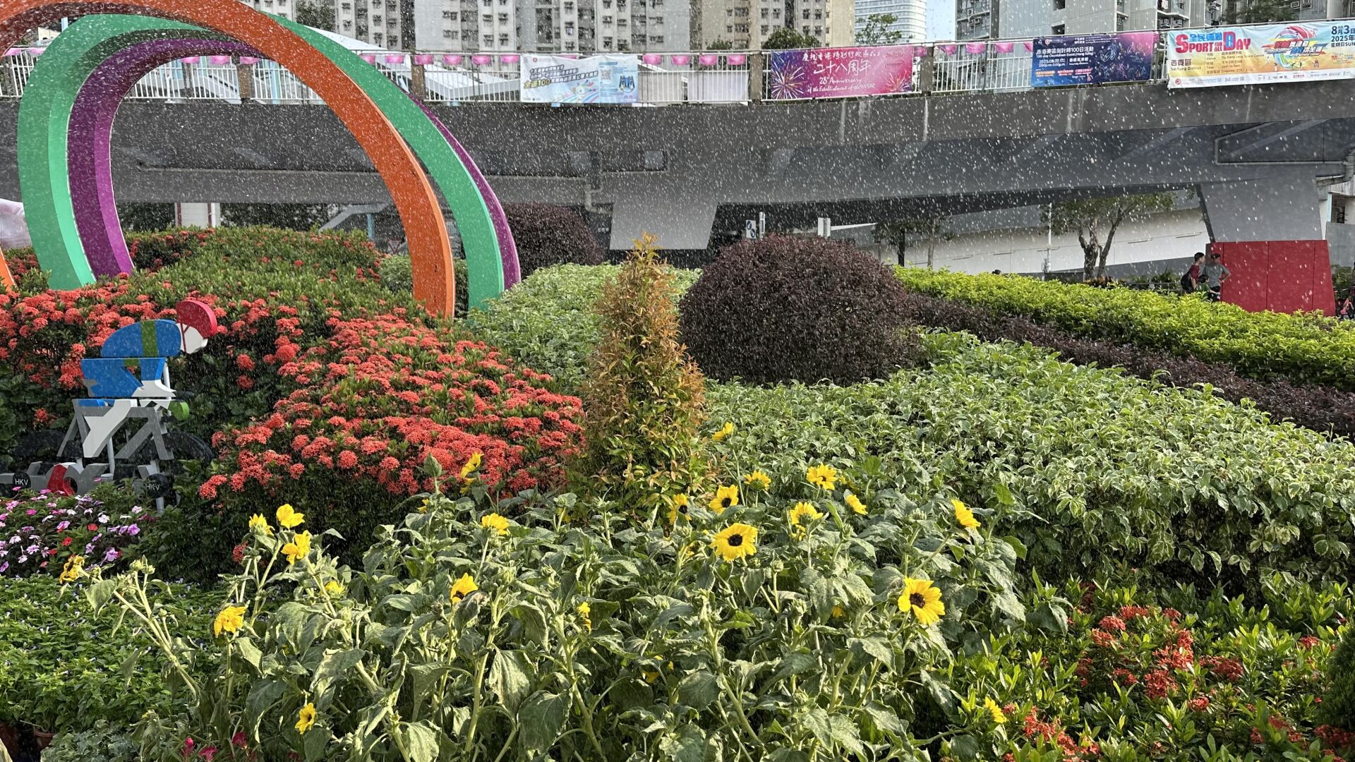 https://www.fa.gov.hk/向日葵(太陽花)