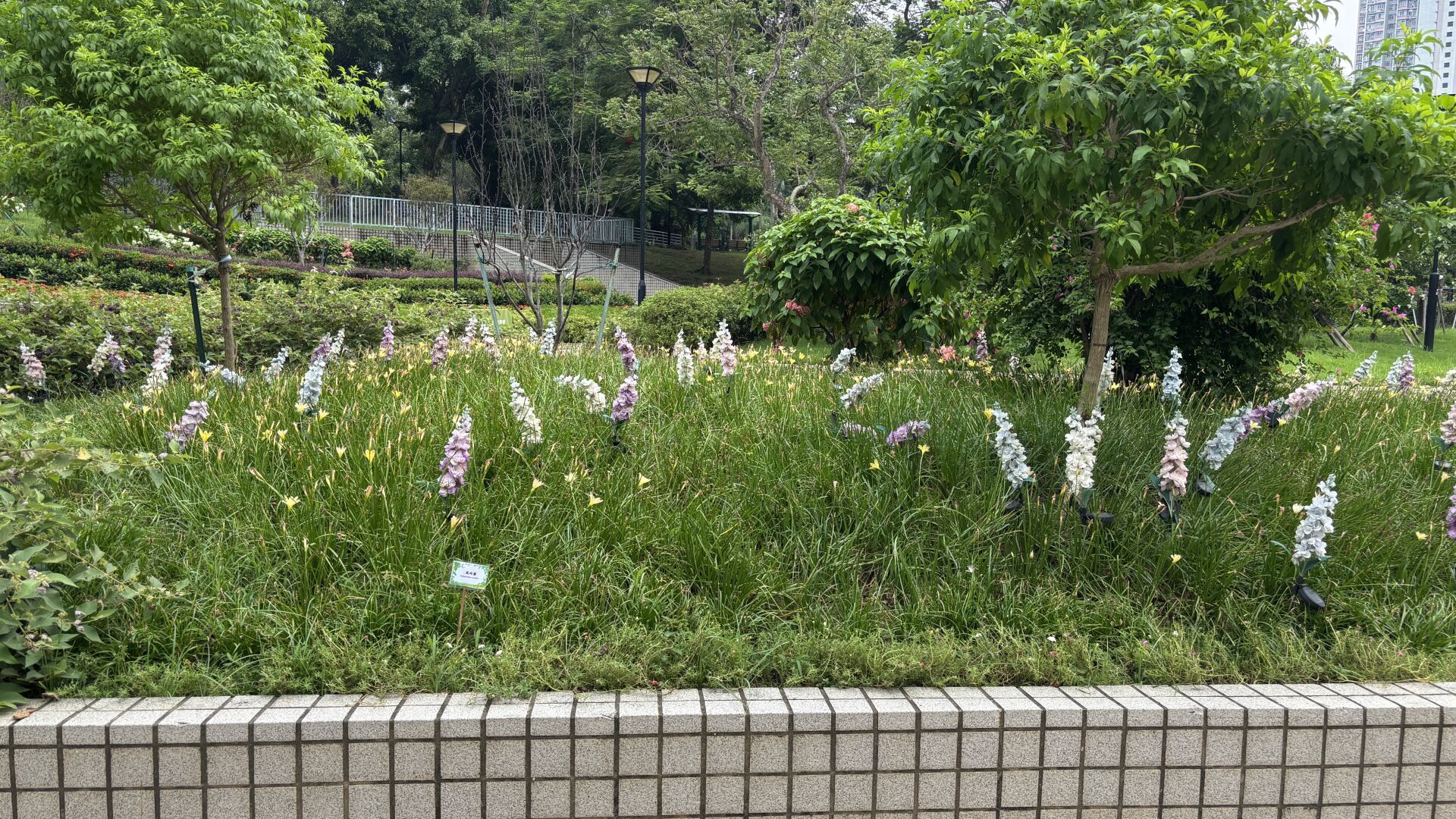 https://www.fa.gov.hk/風雨蘭