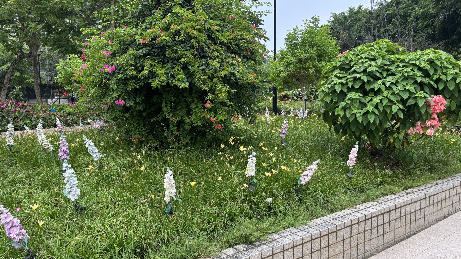 https://www.fa.gov.hk/風雨蘭