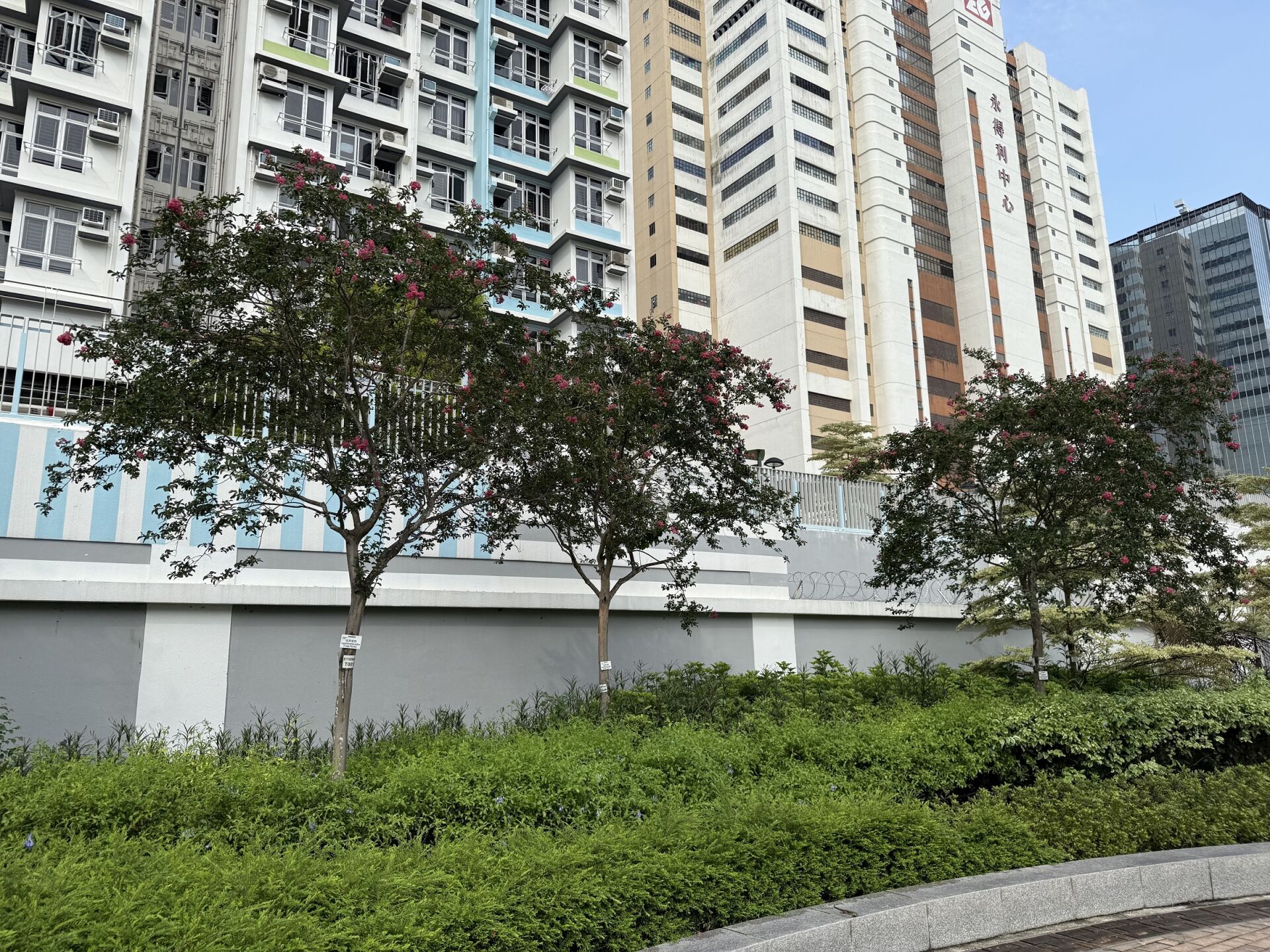 https://www.fa.gov.hk/紫薇