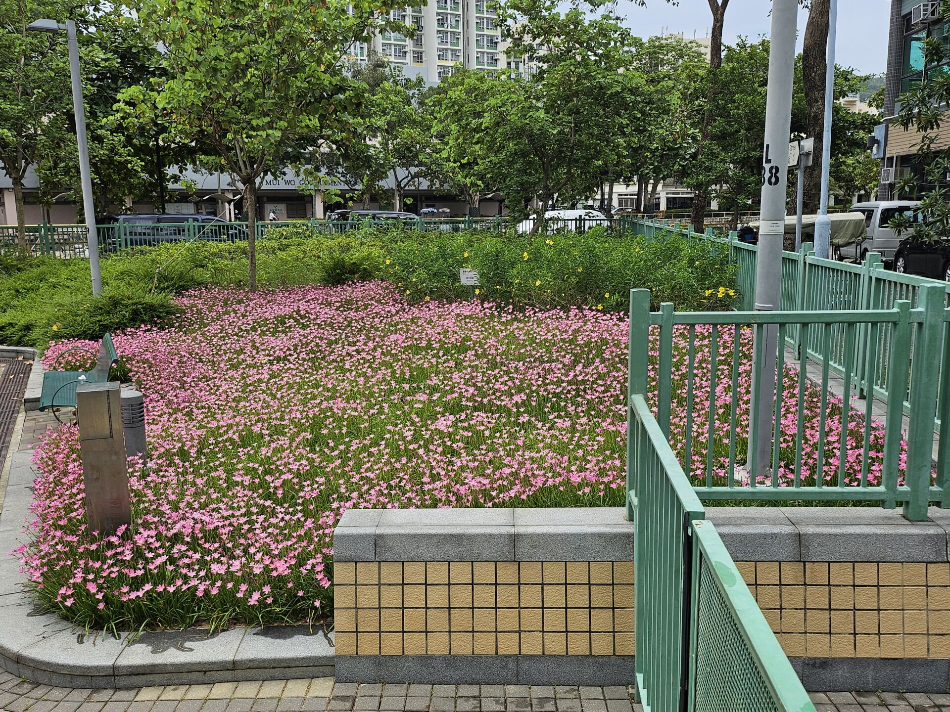 https://www.fa.gov.hk/風雨蘭