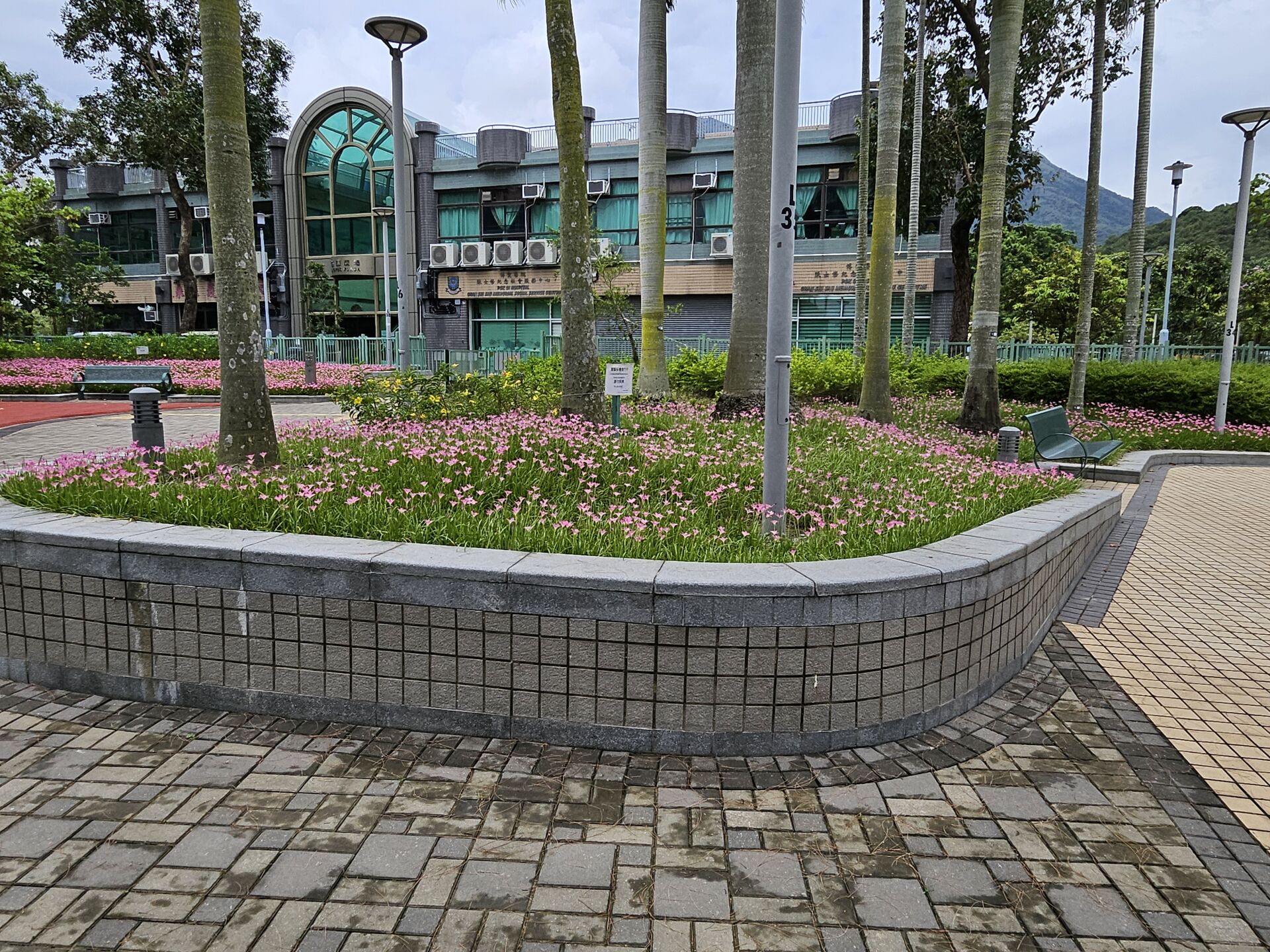 https://www.fa.gov.hk/風雨蘭