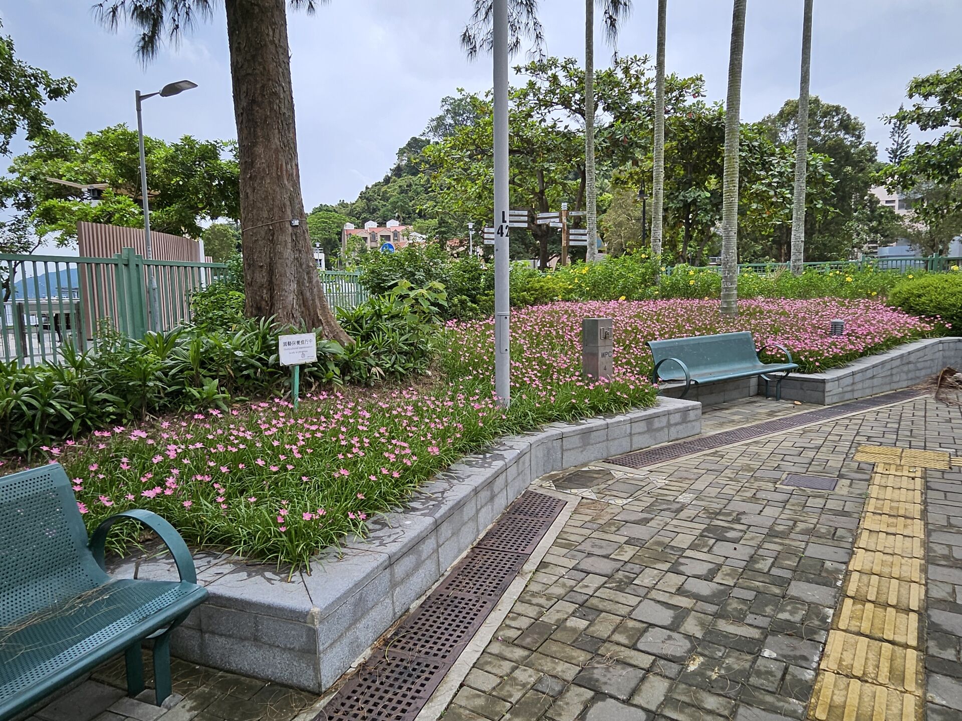 https://www.fa.gov.hk/風雨蘭