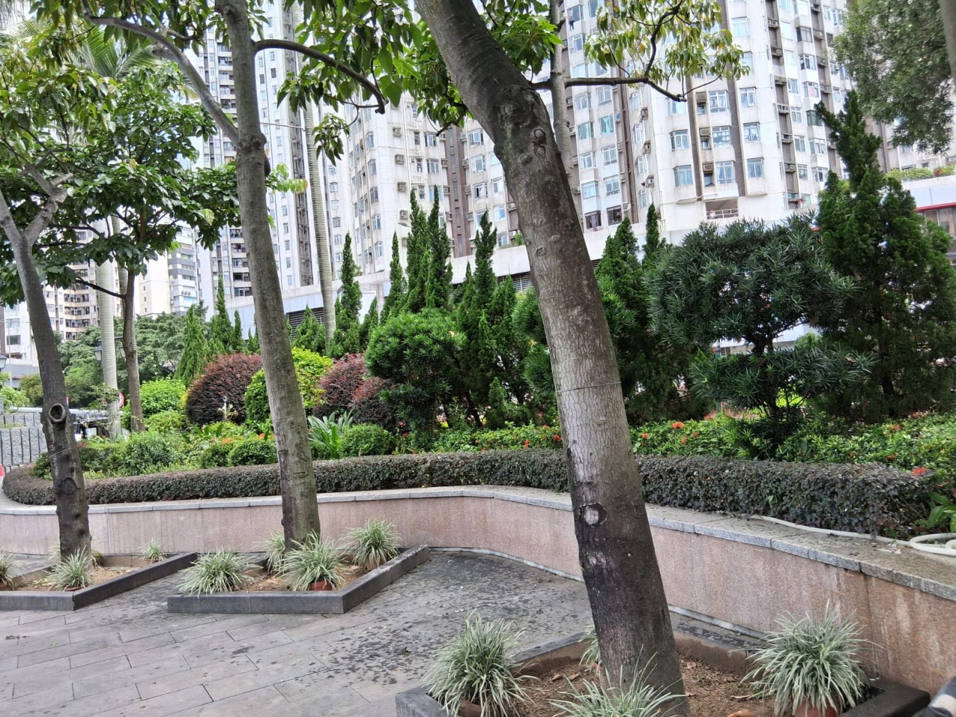 https://www.fa.gov.hk/紅花檵木