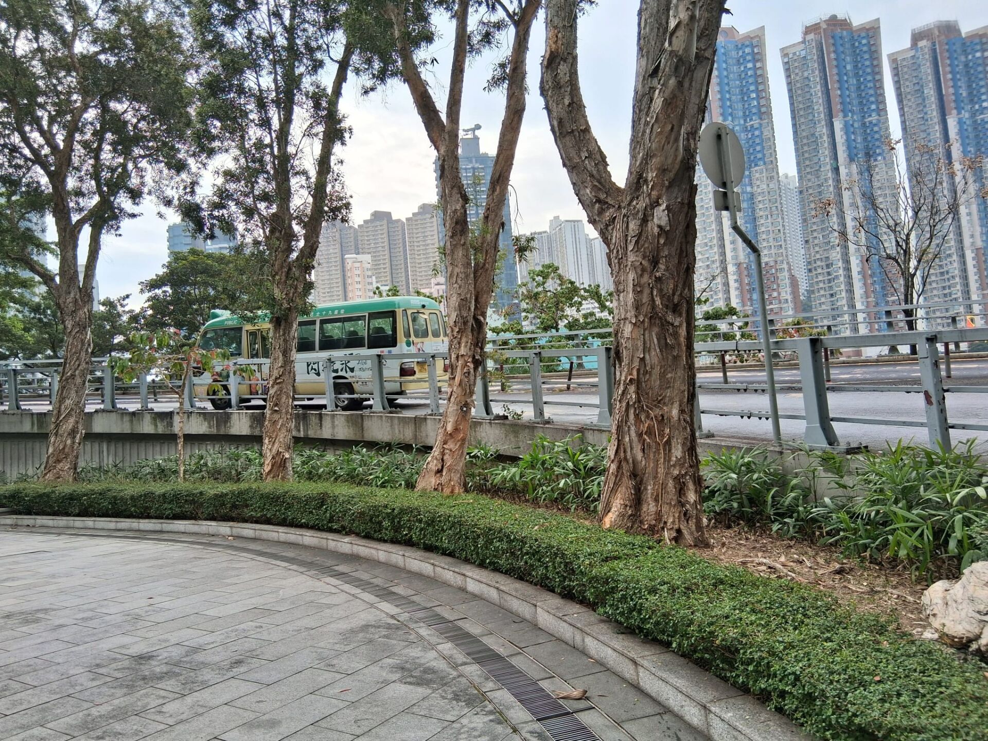https://www.fa.gov.hk/基及樹(福建茶)