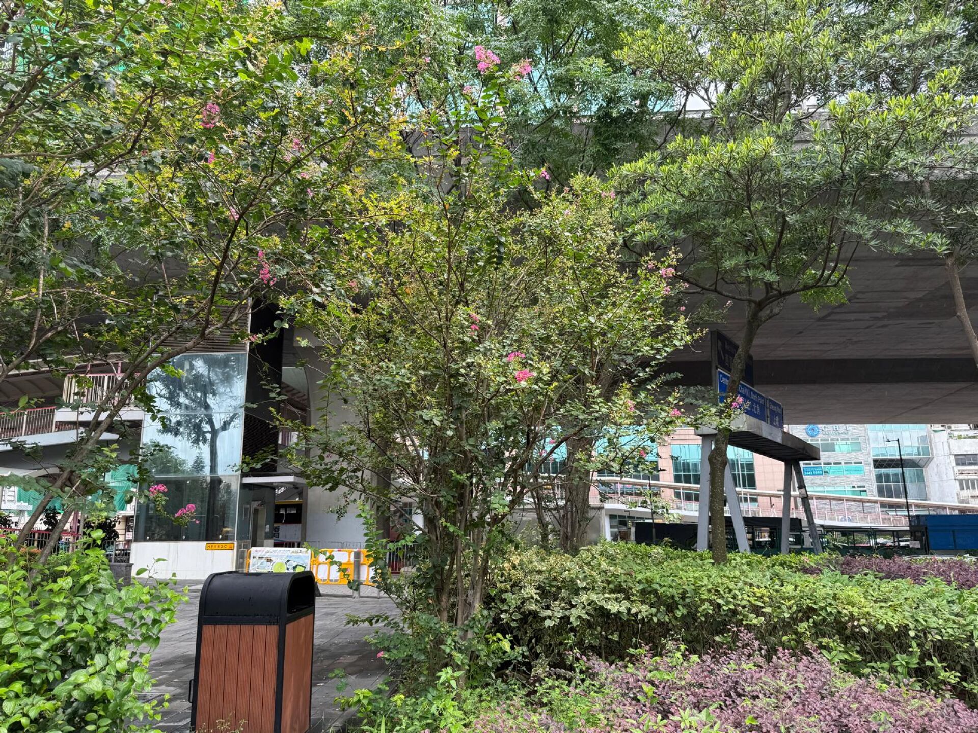 https://www.fa.gov.hk/紫薇