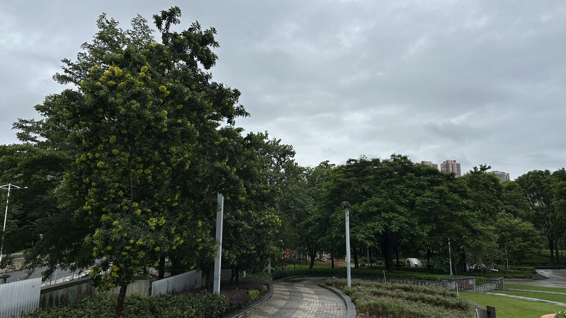 https://www.fa.gov.hk/金蒲桃