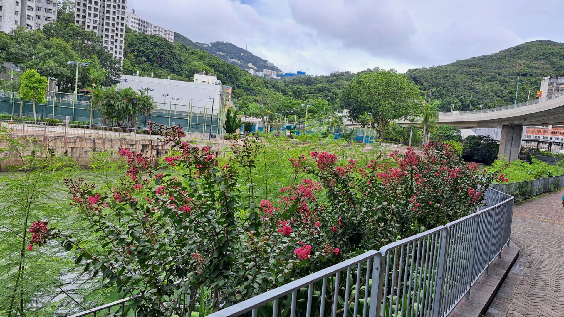 https://www.fa.gov.hk/紫薇