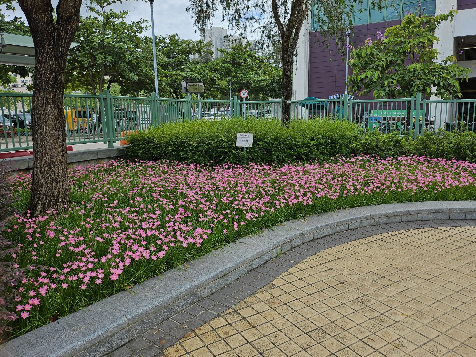 https://www.fa.gov.hk/風雨蘭