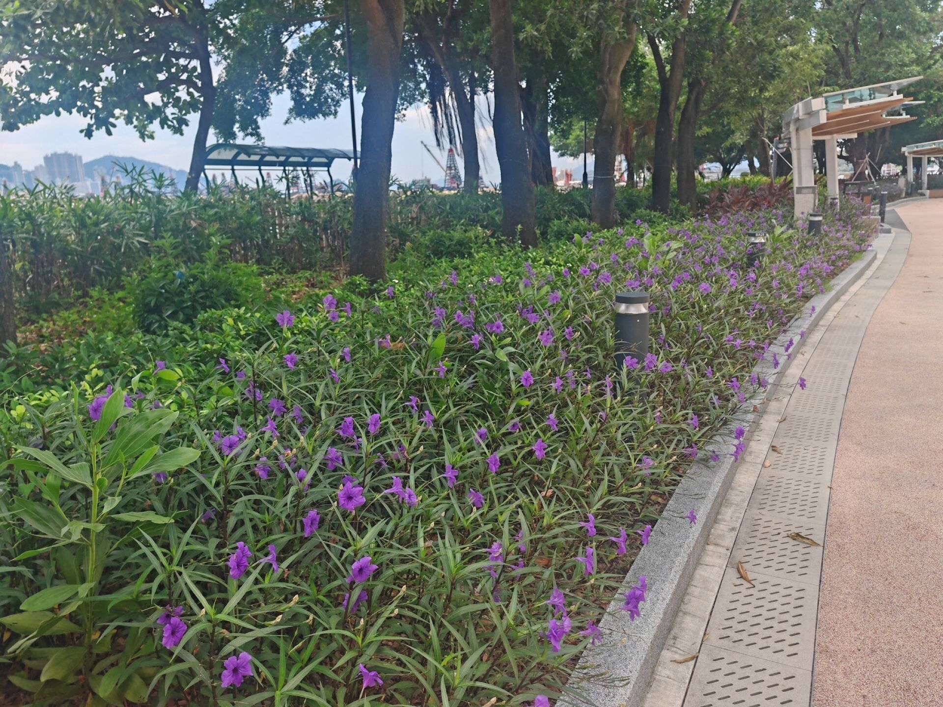 https://www.fa.gov.hk/翠蘆莉