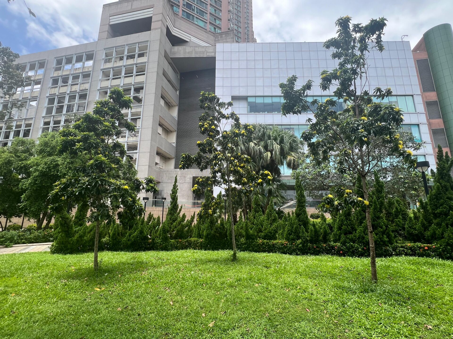 https://www.fa.gov.hk/金蒲桃