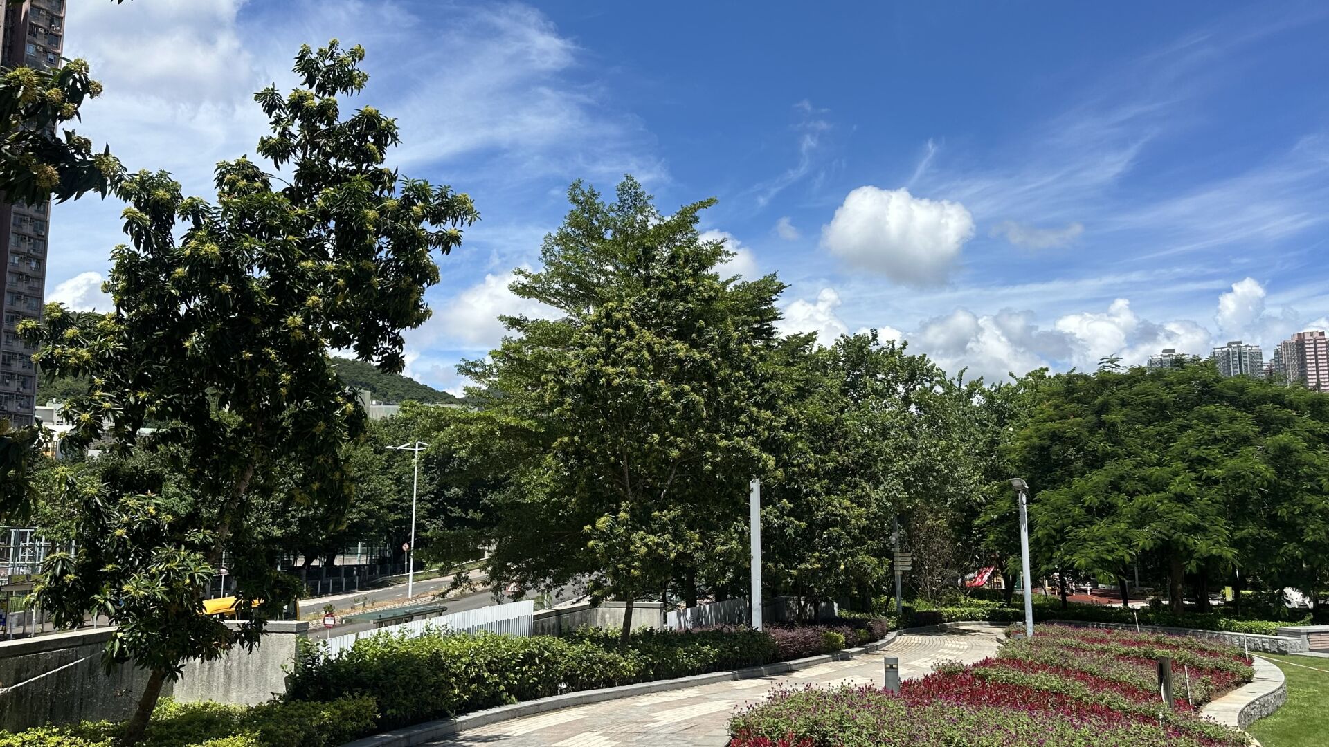 https://www.fa.gov.hk/金蒲桃