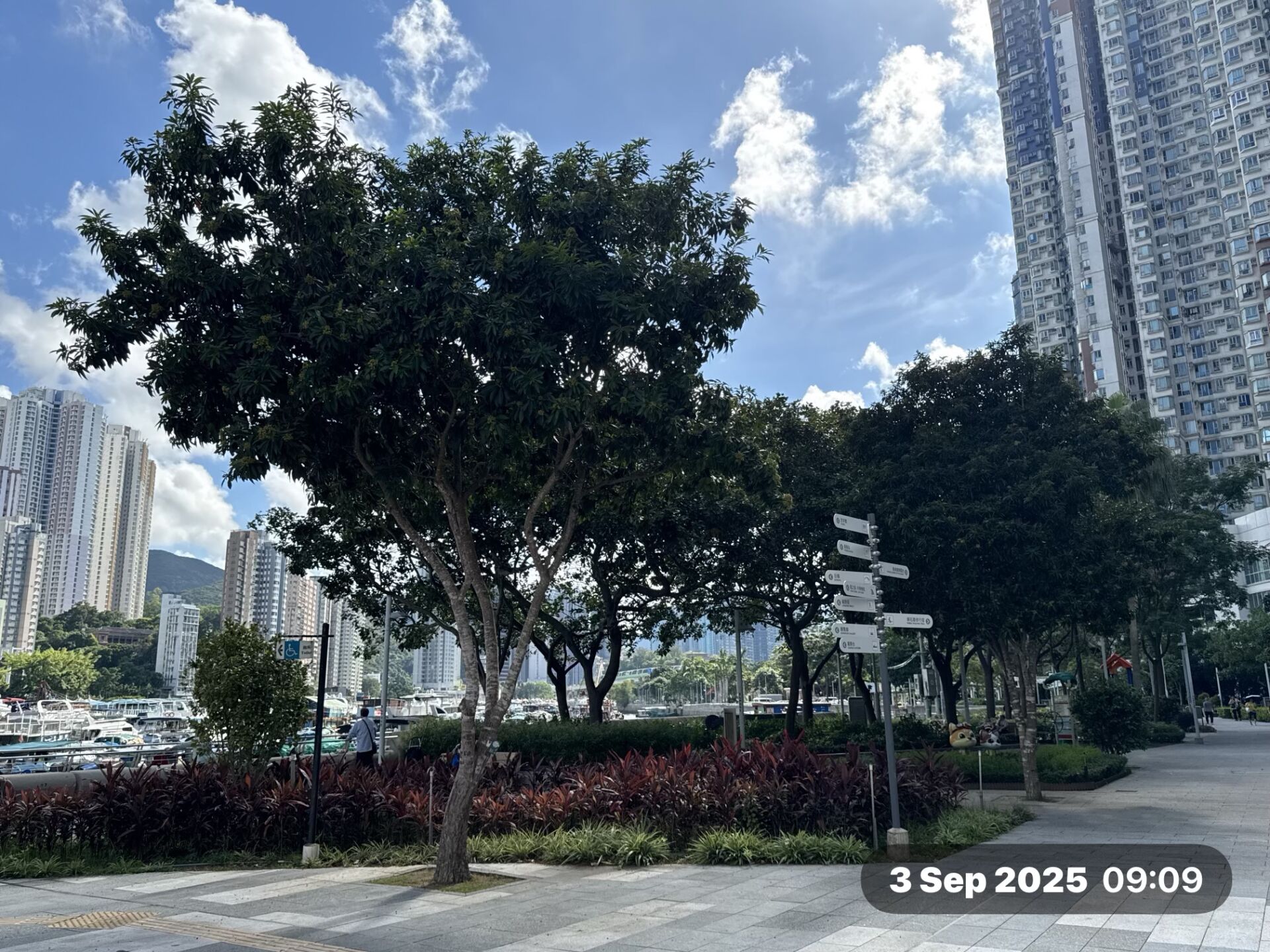 https://www.fa.gov.hk/金蒲桃
