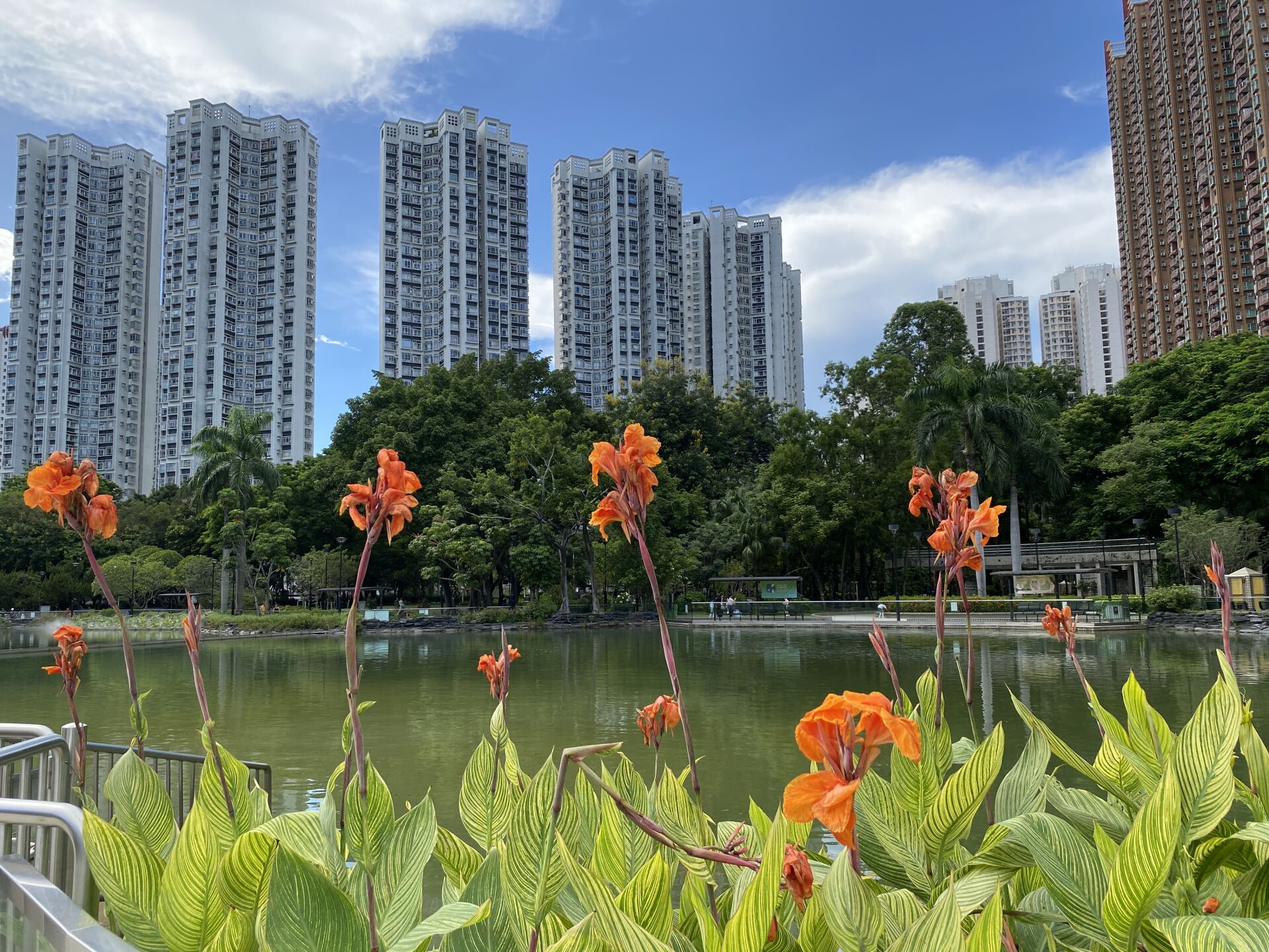https://www.fa.gov.hk/美人蕉