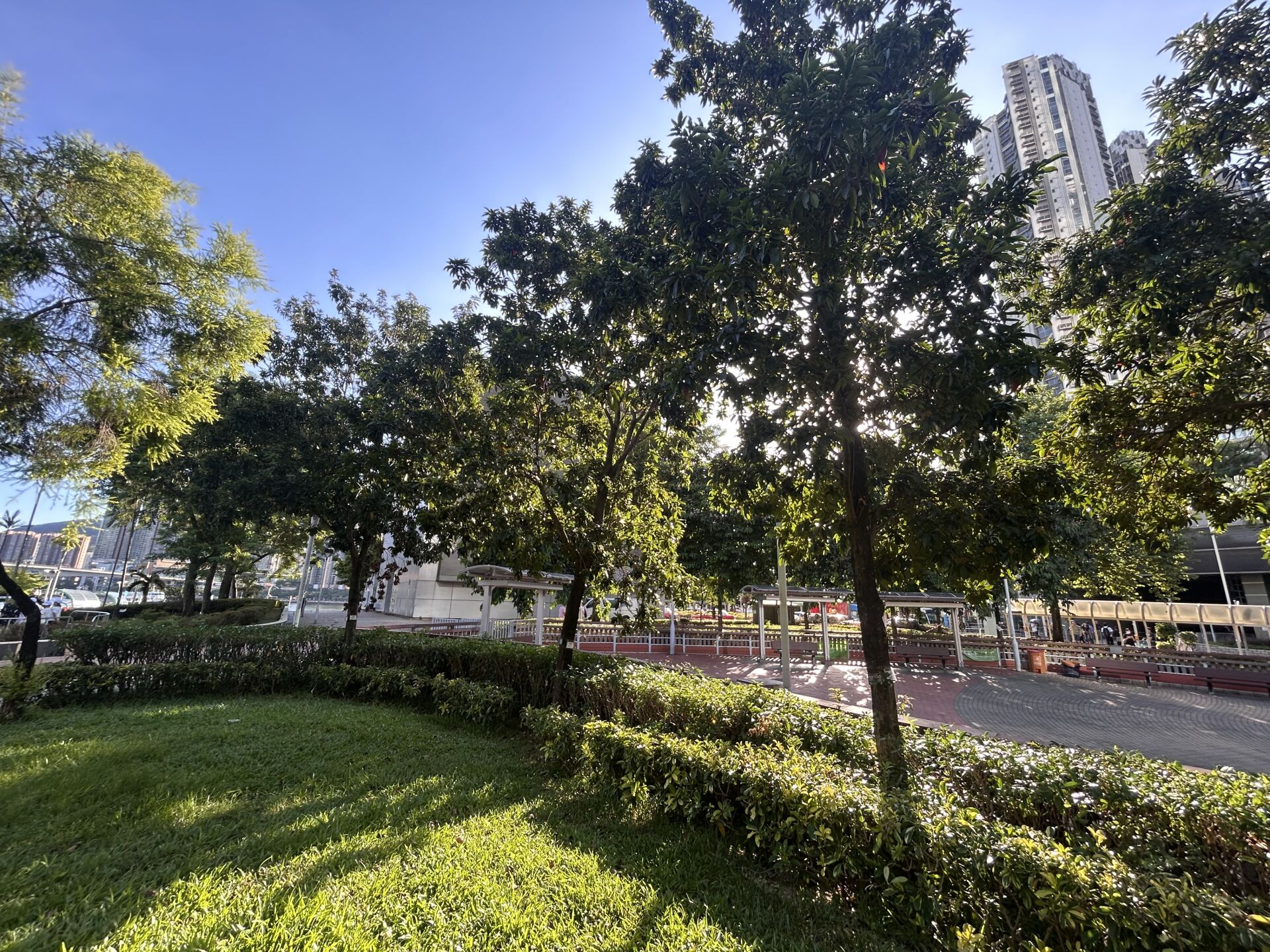 https://www.fa.gov.hk/金蒲桃