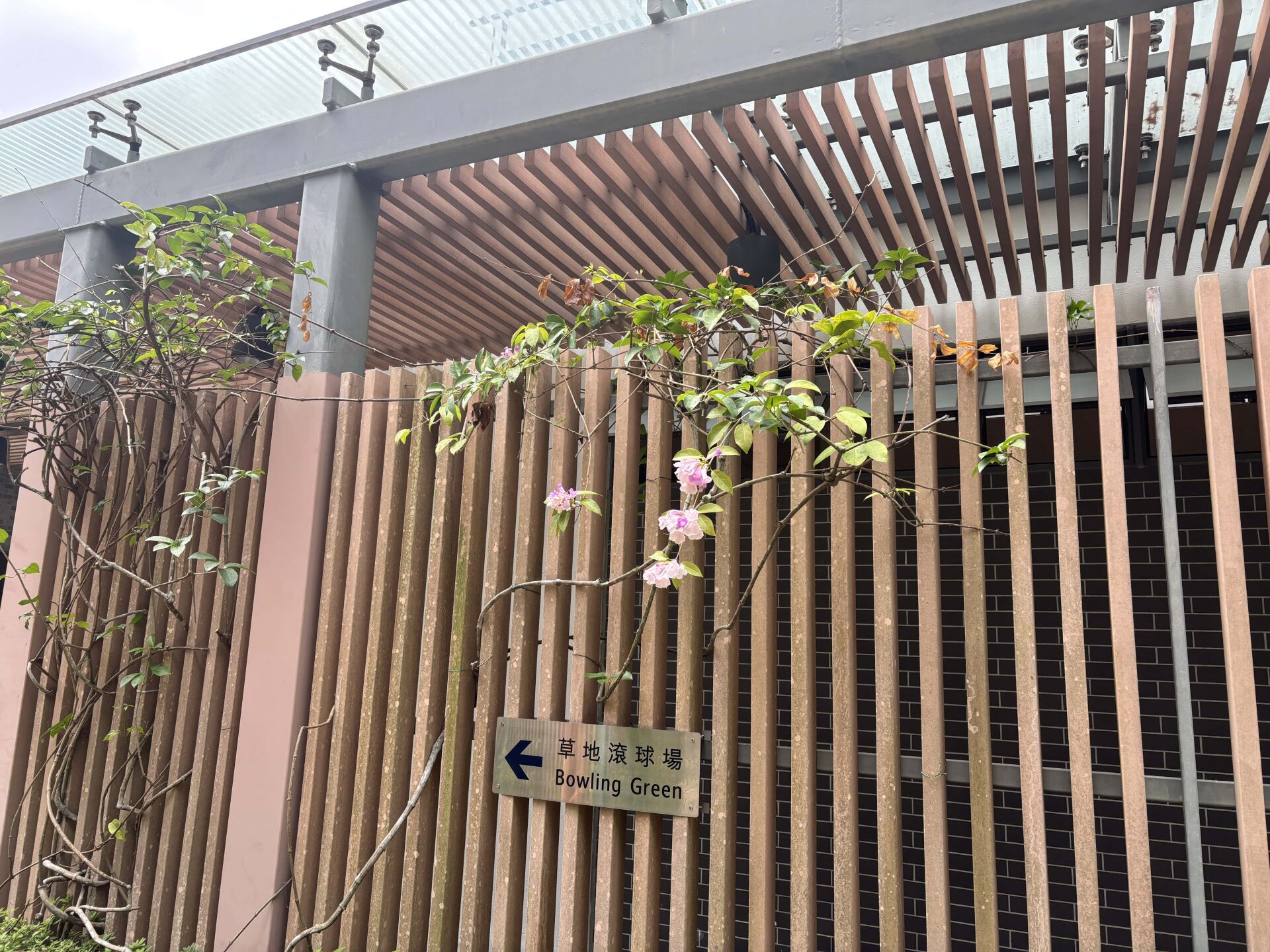 https://www.fa.gov.hk/蒜香藤