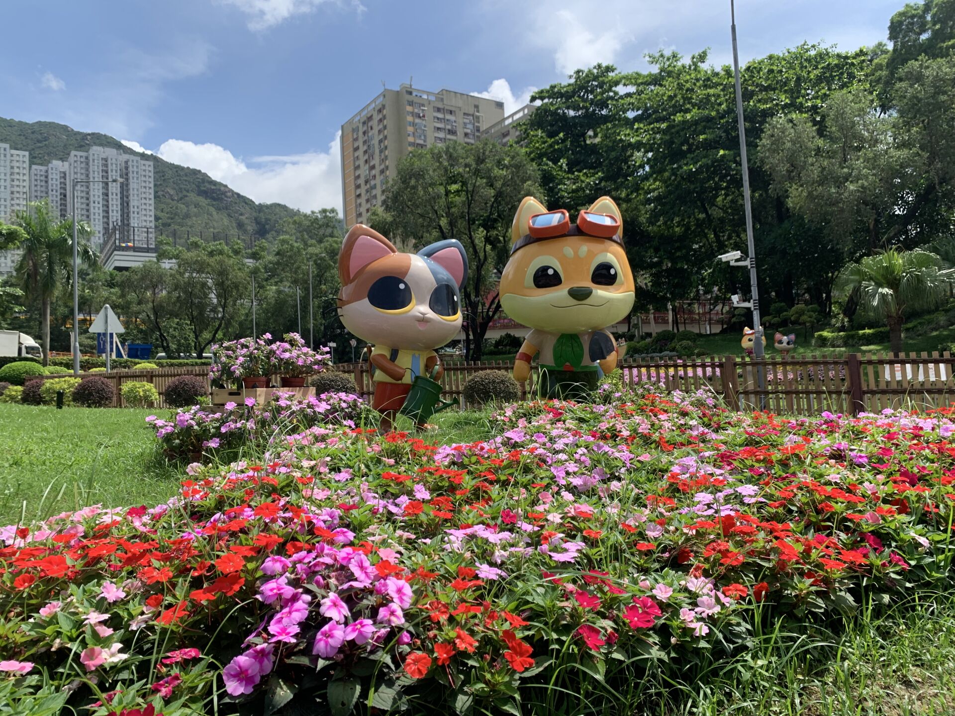 https://www.fa.gov.hk/鳳仙花