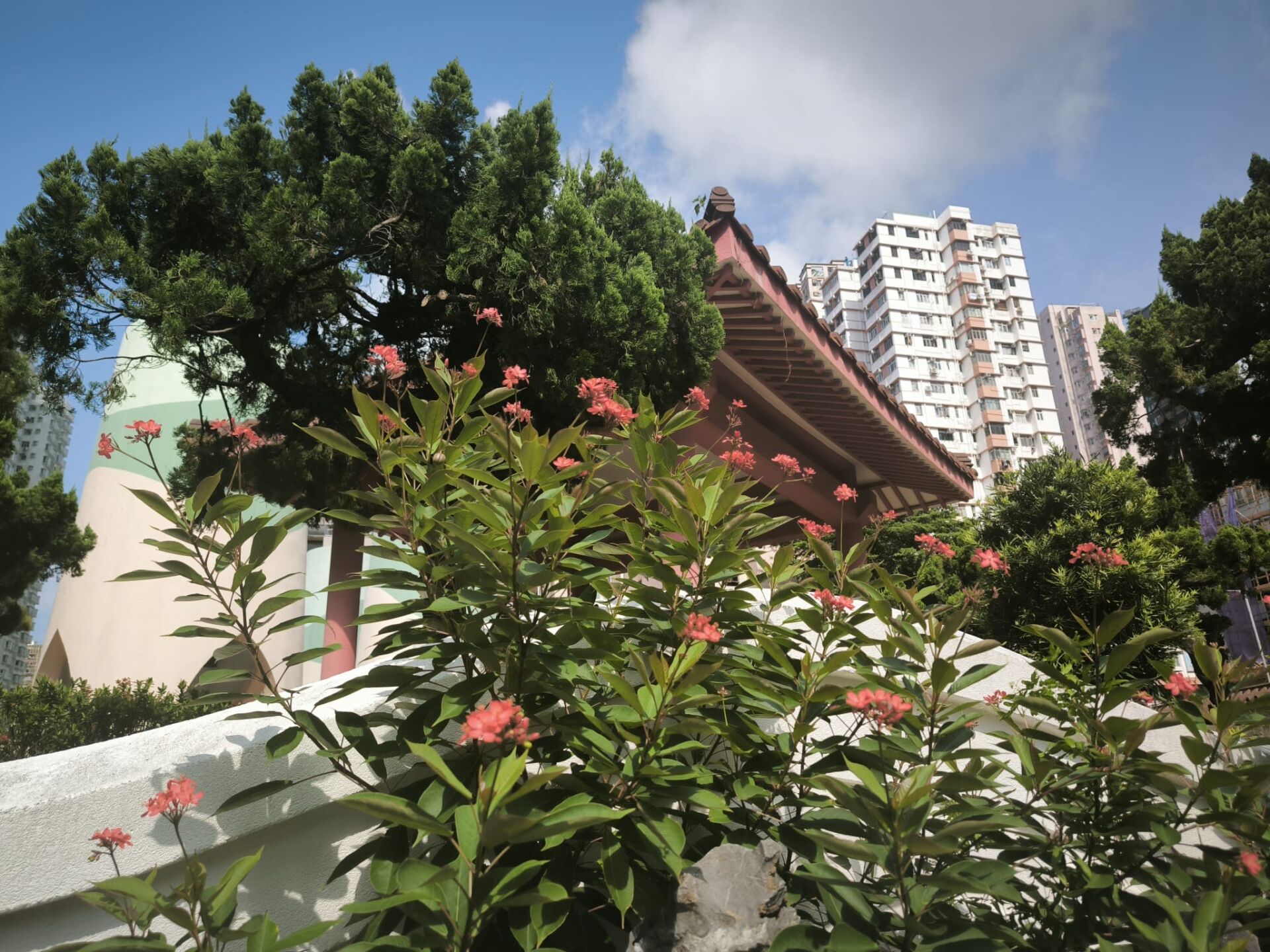 https://www.fa.gov.hk/全緣葉珊瑚