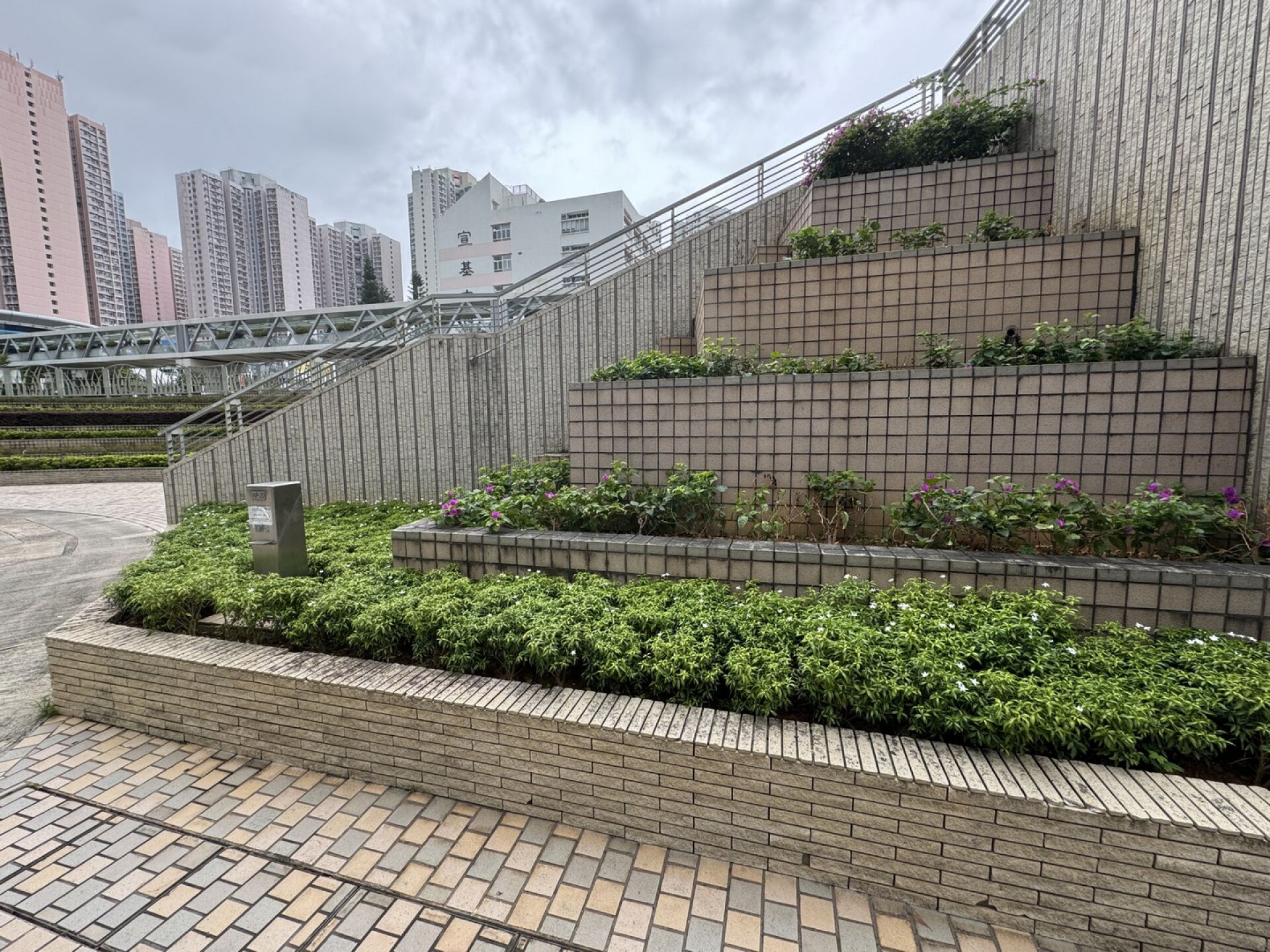 https://www.fa.gov.hk/珍珠狗牙花
