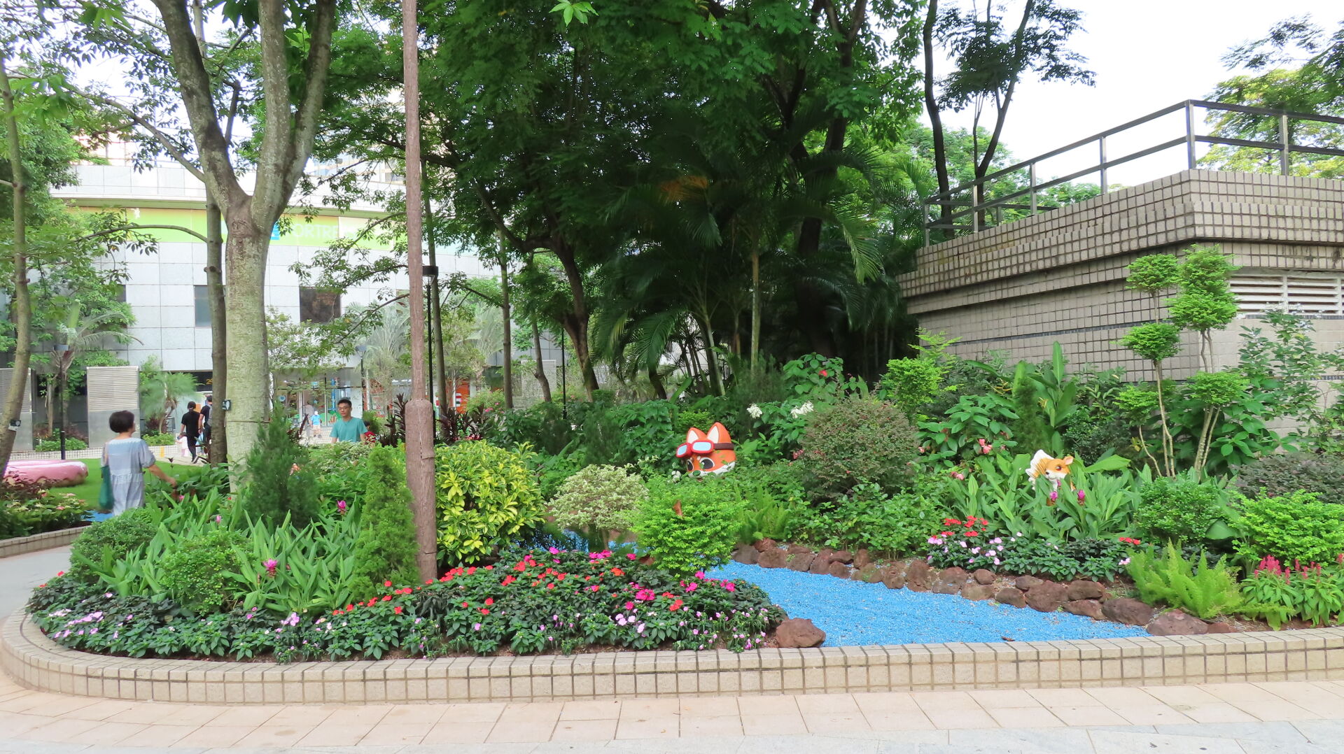 https://www.fa.gov.hk/鳳仙花