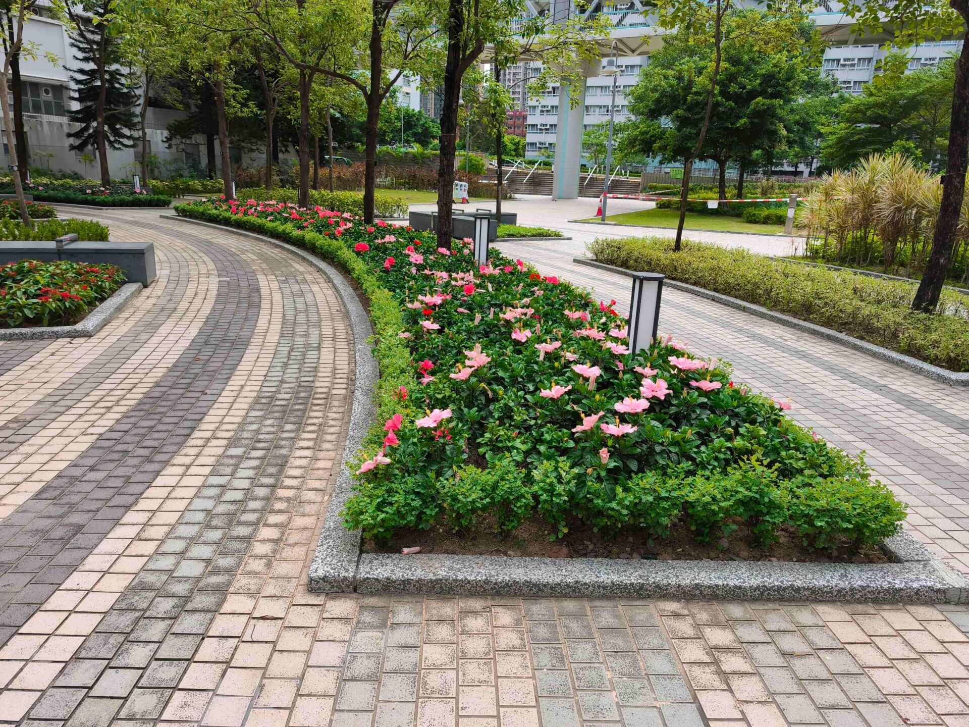https://www.fa.gov.hk/朱槿(扶桑、大紅花)