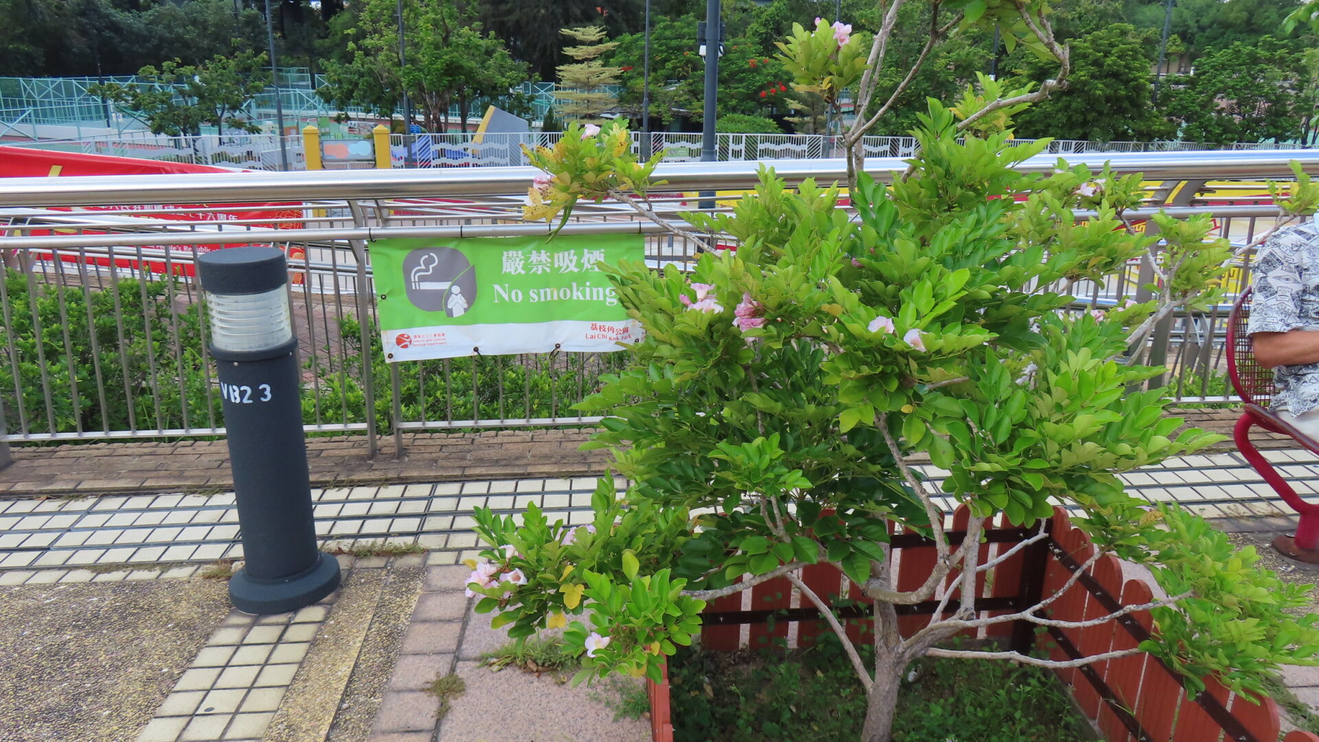 https://www.fa.gov.hk/粉鐘鈴