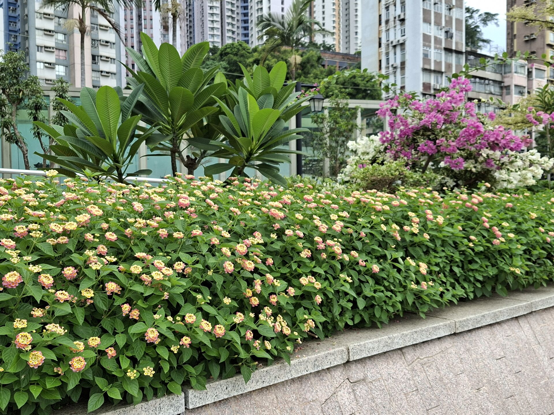 https://www.fa.gov.hk/
