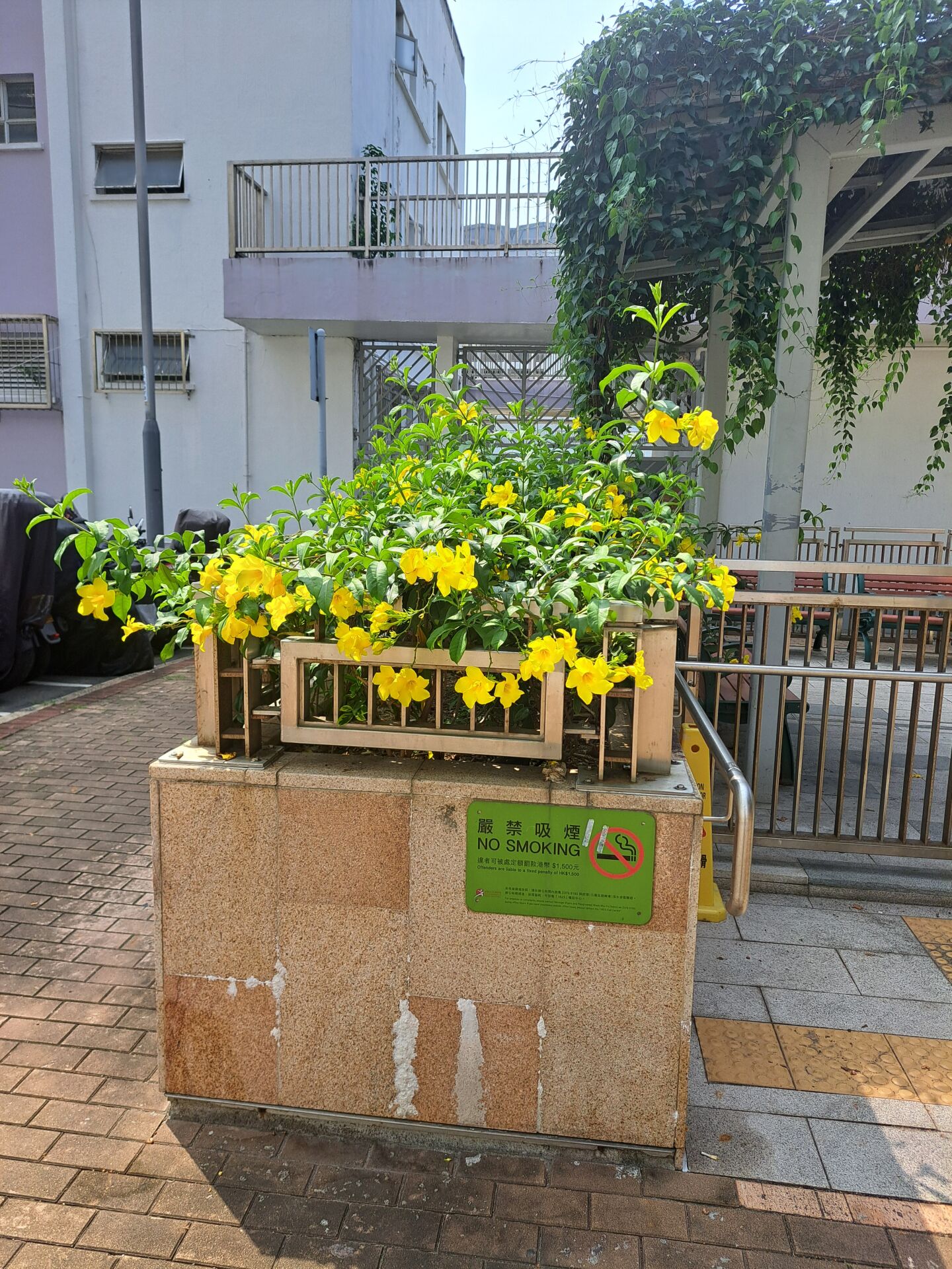 https://www.fa.gov.hk/黃蟬