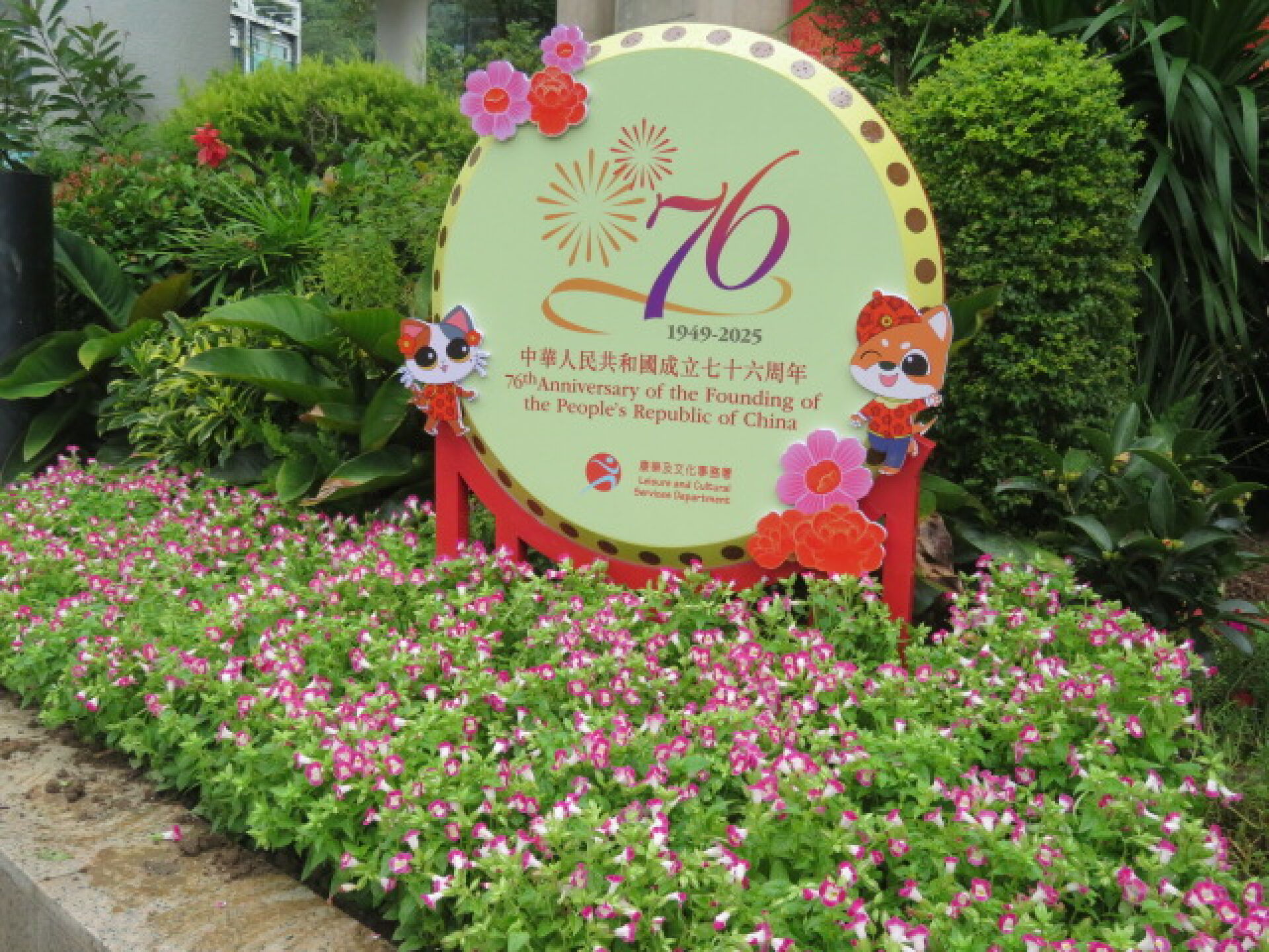https://www.fa.gov.hk/夏堇(紅豬耳)