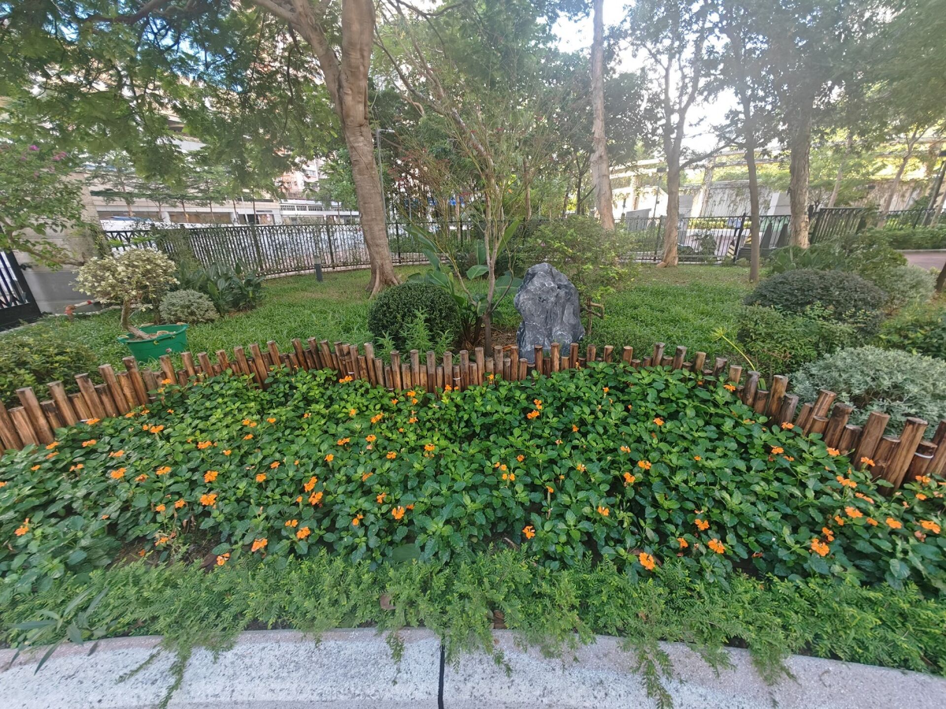 https://www.fa.gov.hk/鳥尾花