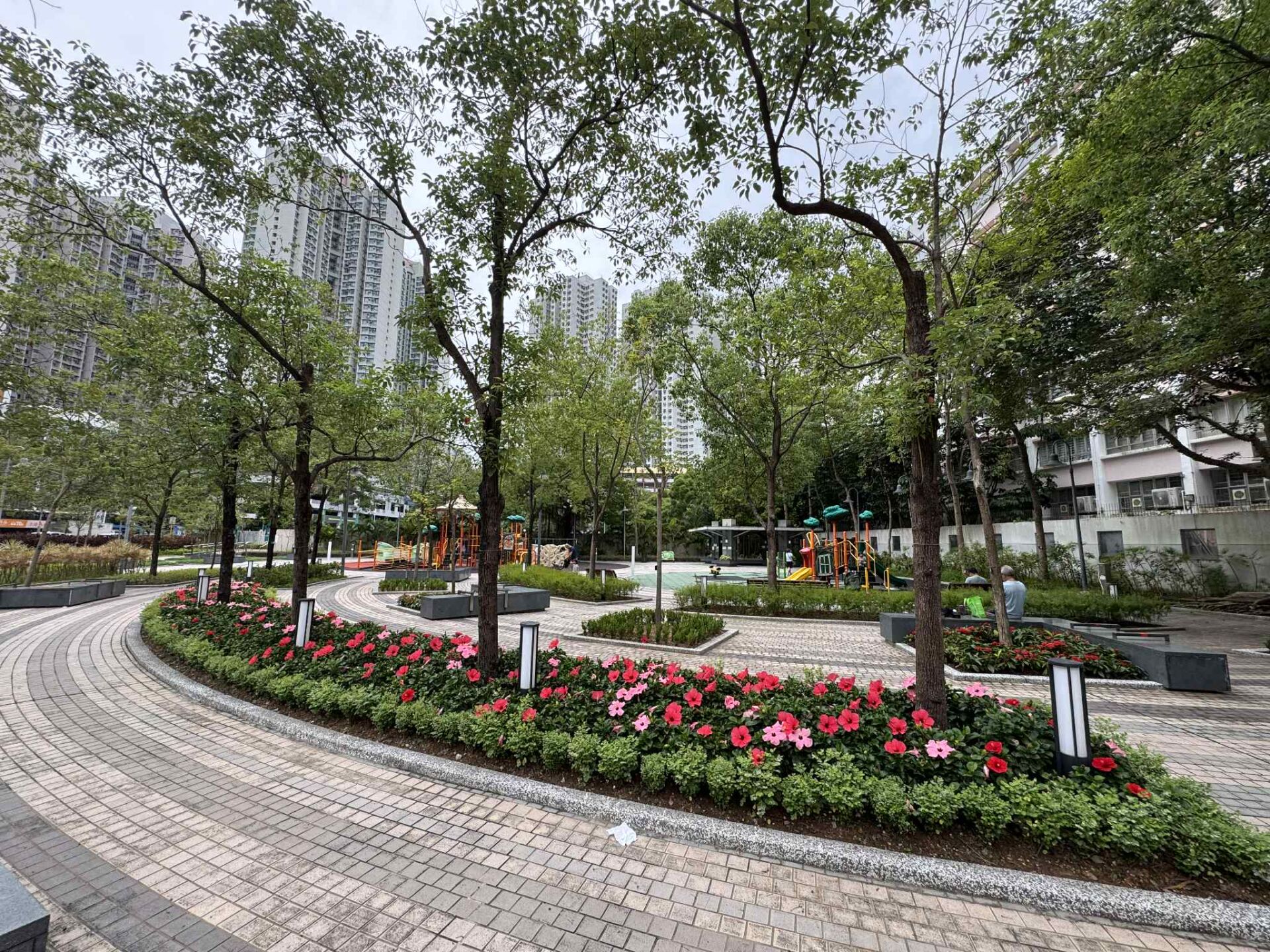 https://www.fa.gov.hk/朱槿(扶桑、大紅花)