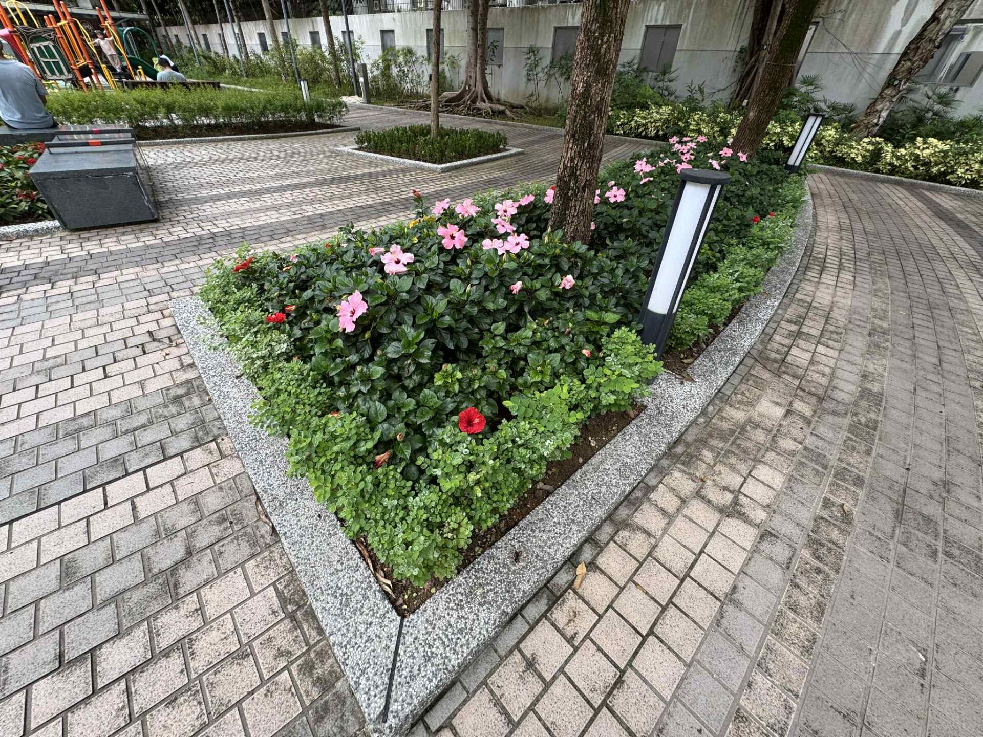 https://www.fa.gov.hk/朱槿(扶桑、大紅花)