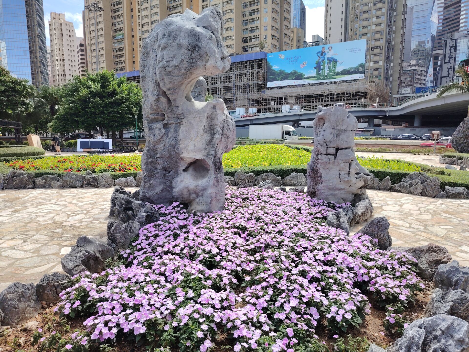 https://www.fa.gov.hk/鳳仙花