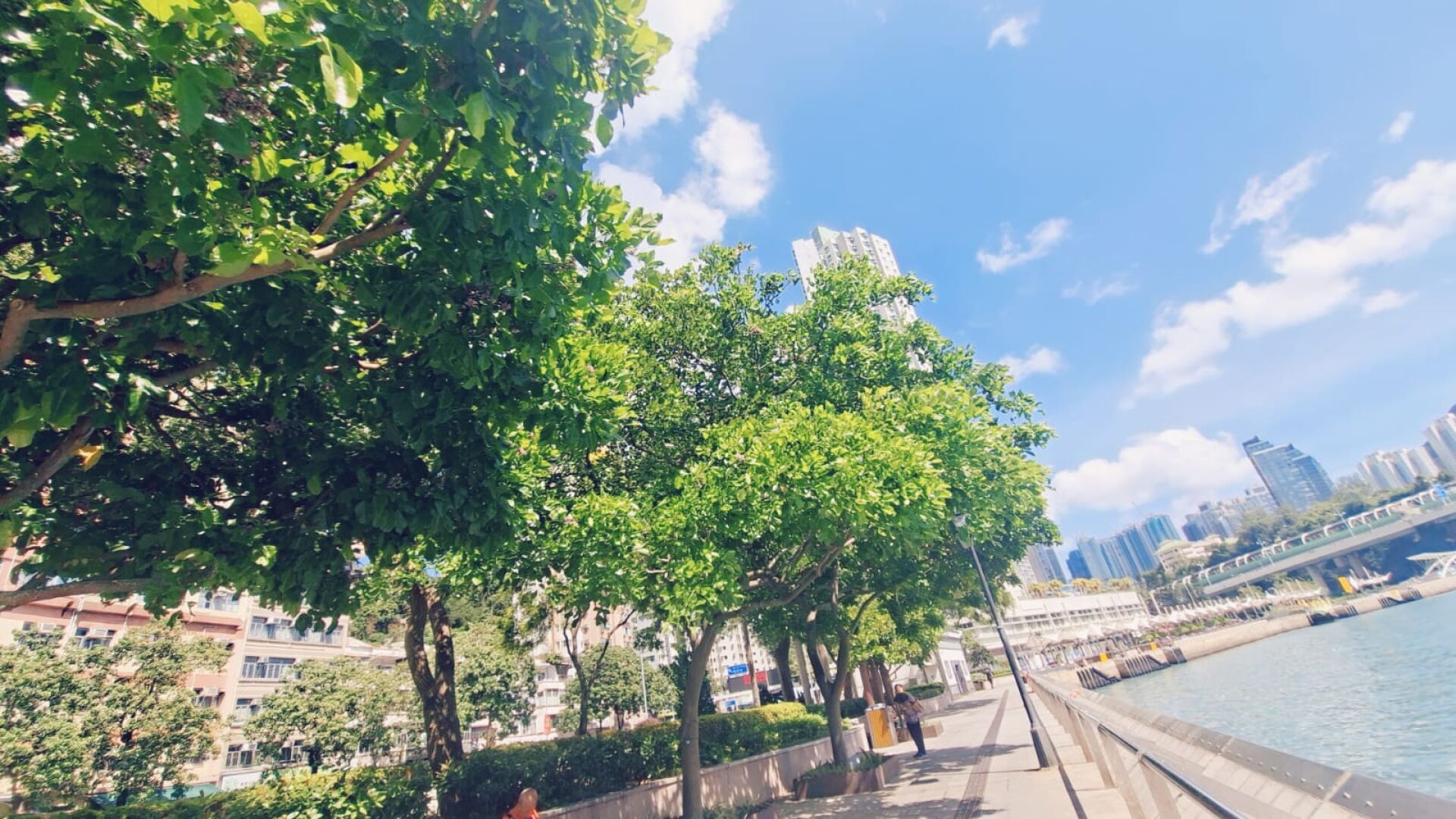 https://www.fa.gov.hk/水黃皮